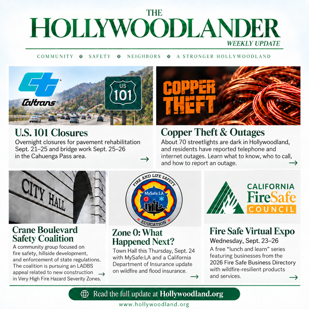 HHA Weekly Newsletter
