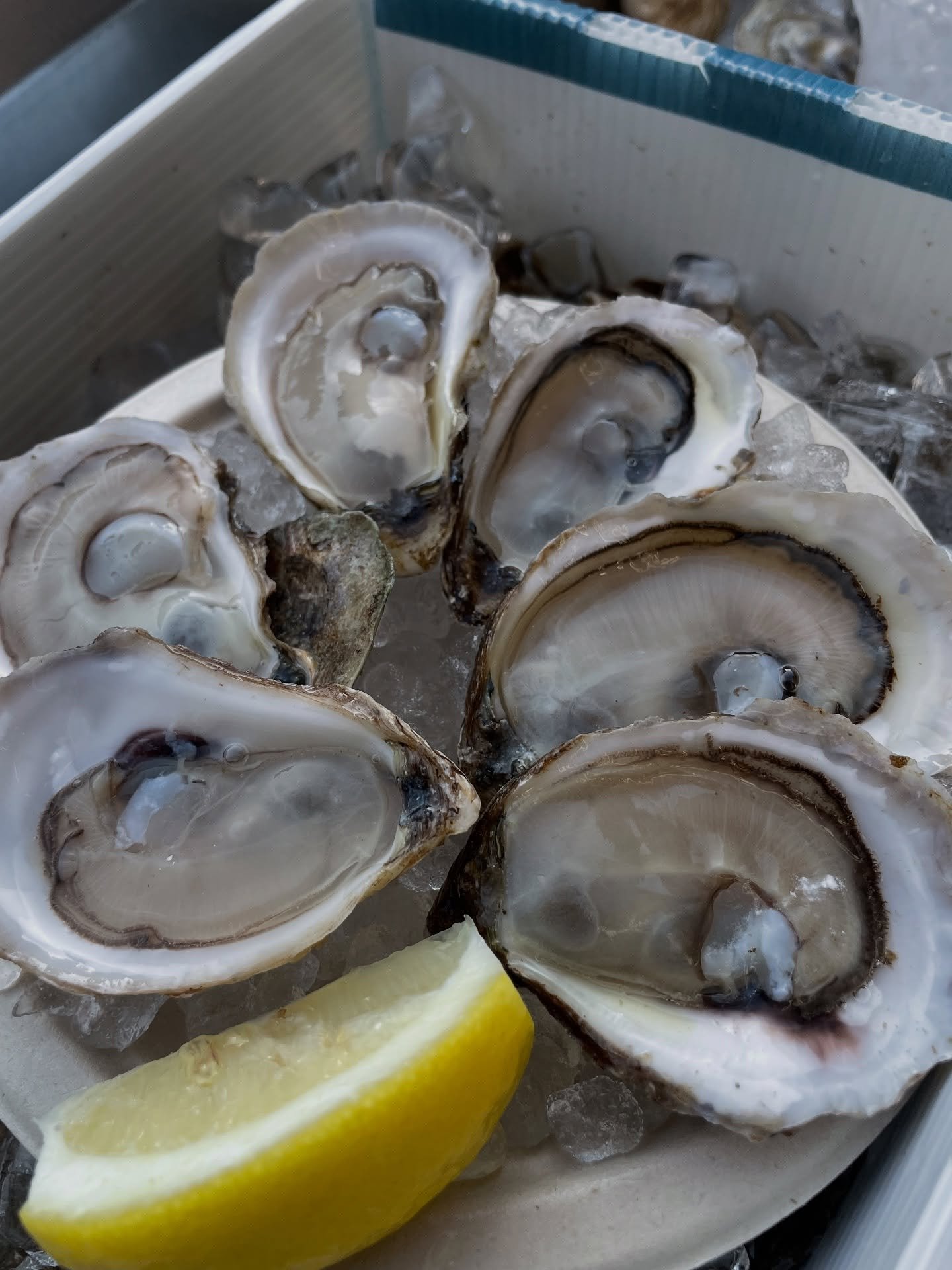 This Saturday &mdash; Ocelot Bar 🦪🍸

@paytoven is making the trip all the way from New Orleans to throw down with us in Brooklyn. If you&rsquo;ve ever been to @superiorseafood down in NOLA, you already know the vibe. 
He&rsquo;s going to have @josi