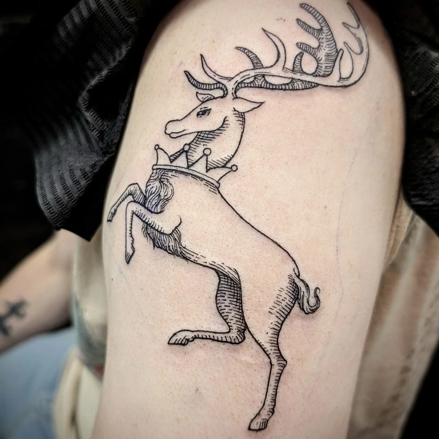 House Baratheon ✨
.
.
Thanks @b_m_anderson ! This was such an honor!
