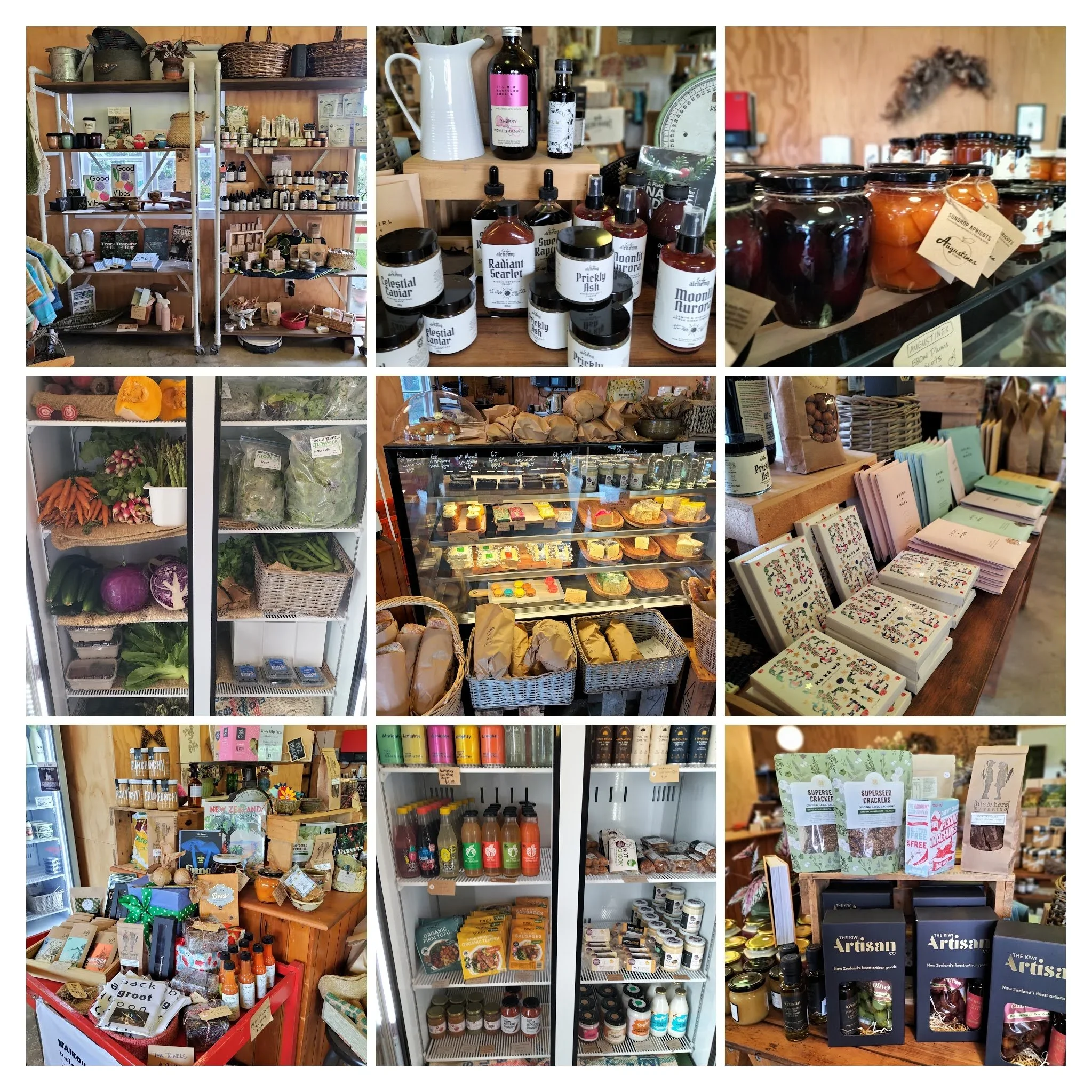 IMG20241207134544-COLLAGE.jpg.webp