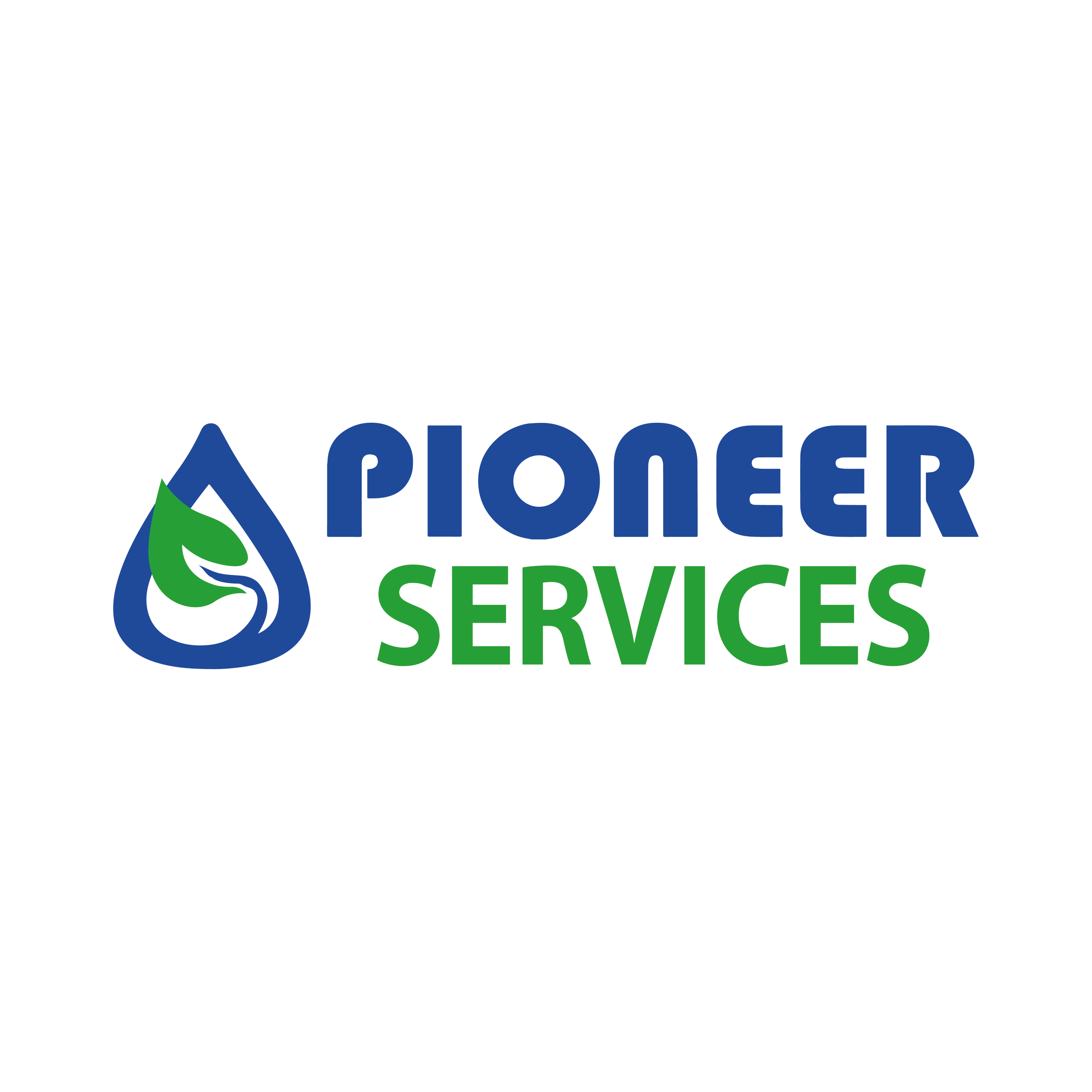 PioneerServices.png