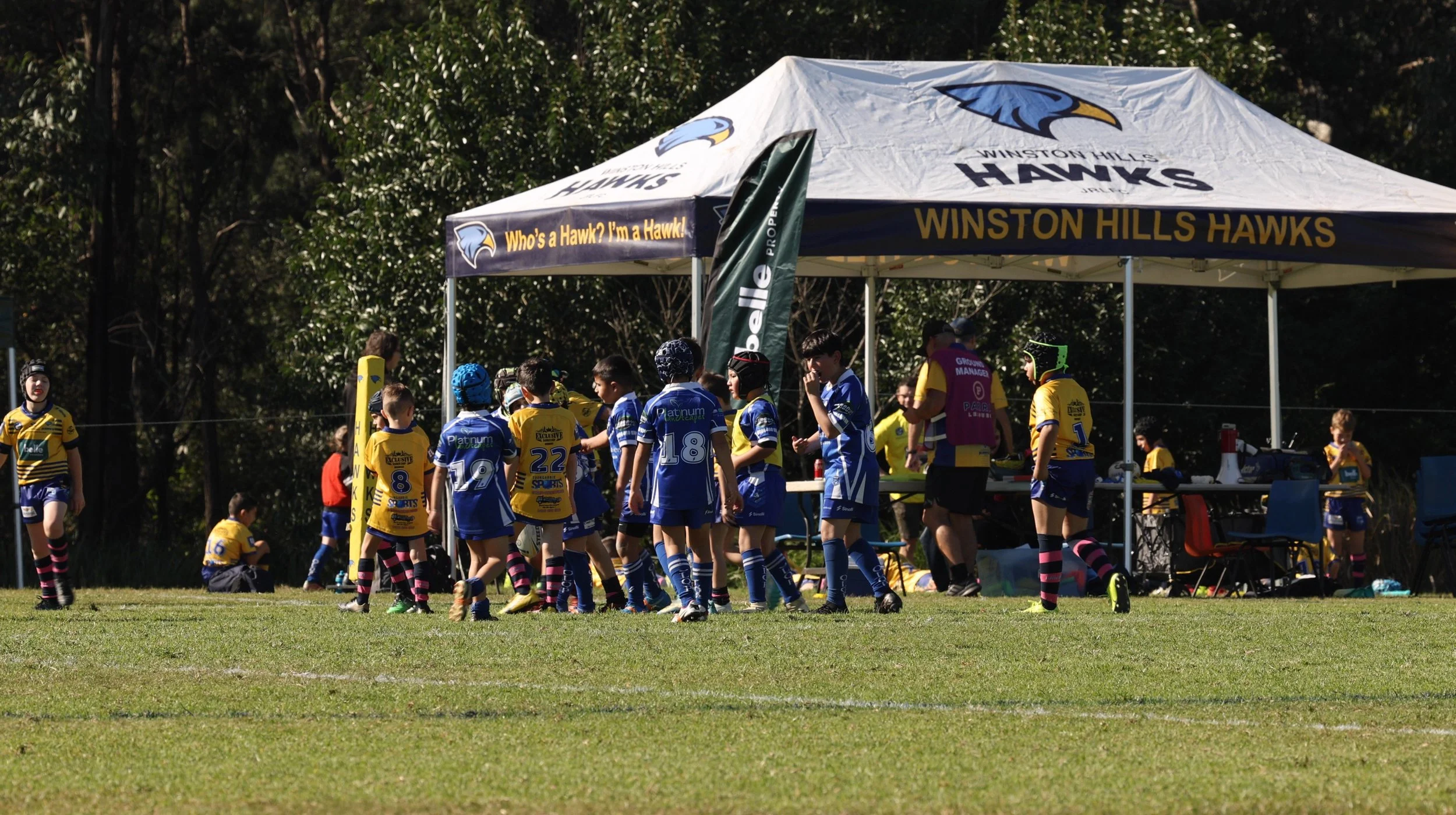 COACHING AND DEVELOPMENT