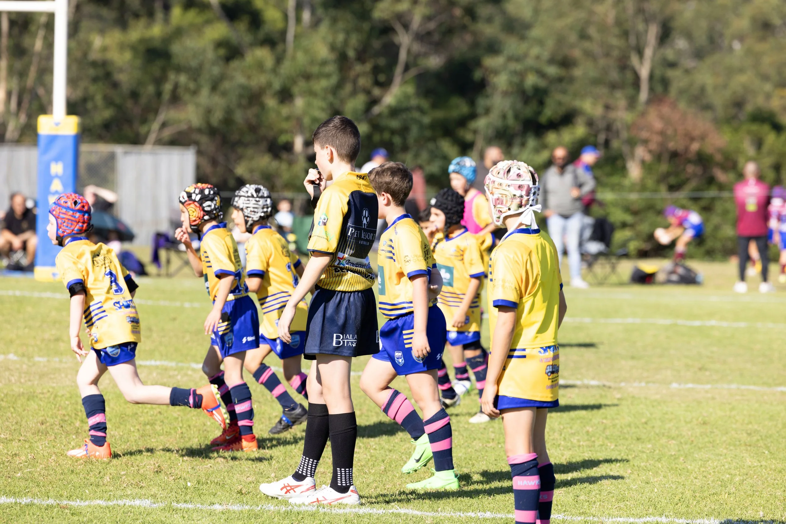 Children playing rugby on a grassy field, wearing yellow and blue uniforms, with some wearing pink and blue striped socks and rugby helmets, under clear weather with trees in the background.