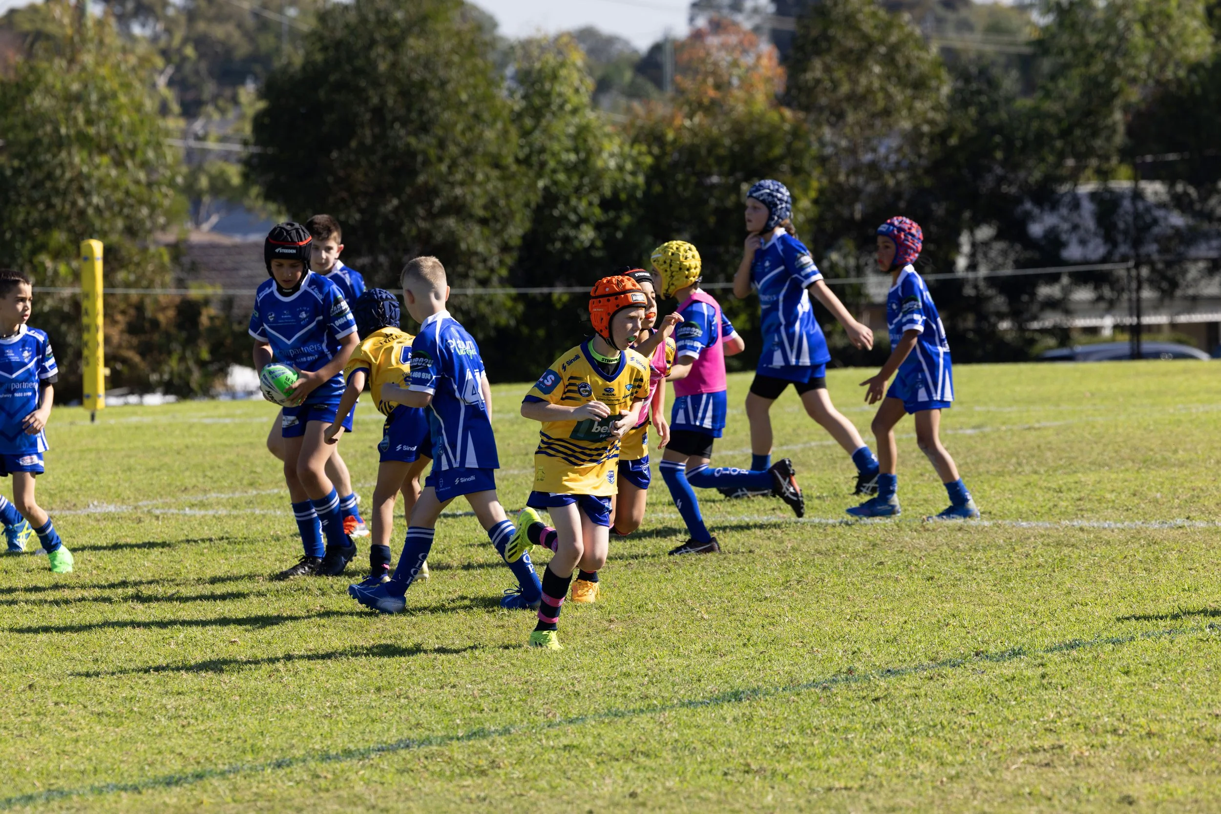 Children playing rugby on a grassy field, some wearing blue uniforms and others in yellow, with helmets and holding rugby balls, under a clear sky with trees in the background.