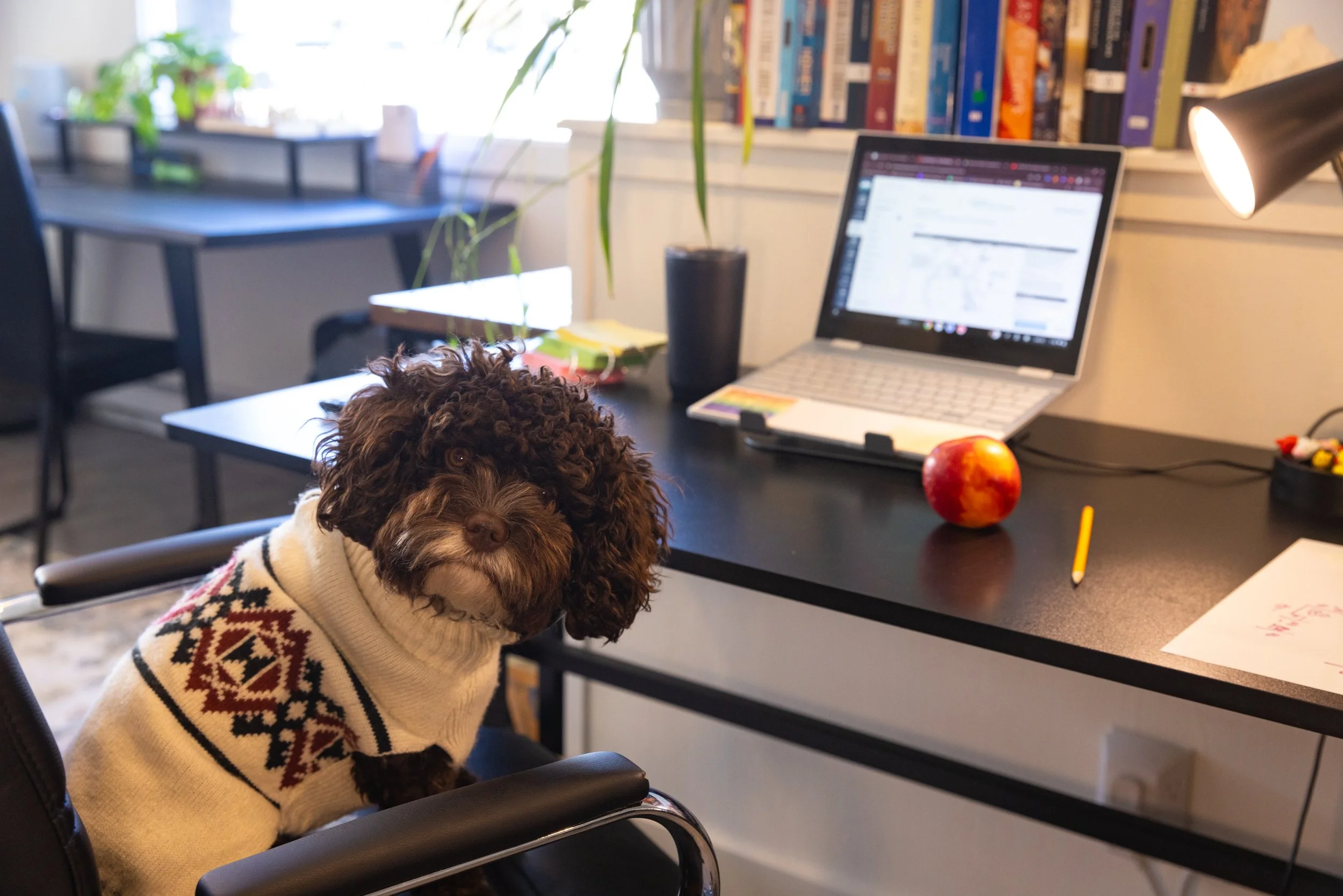 RadAcad is a co-working community for homeschool students, online school students, hybrid students, and traveling students.