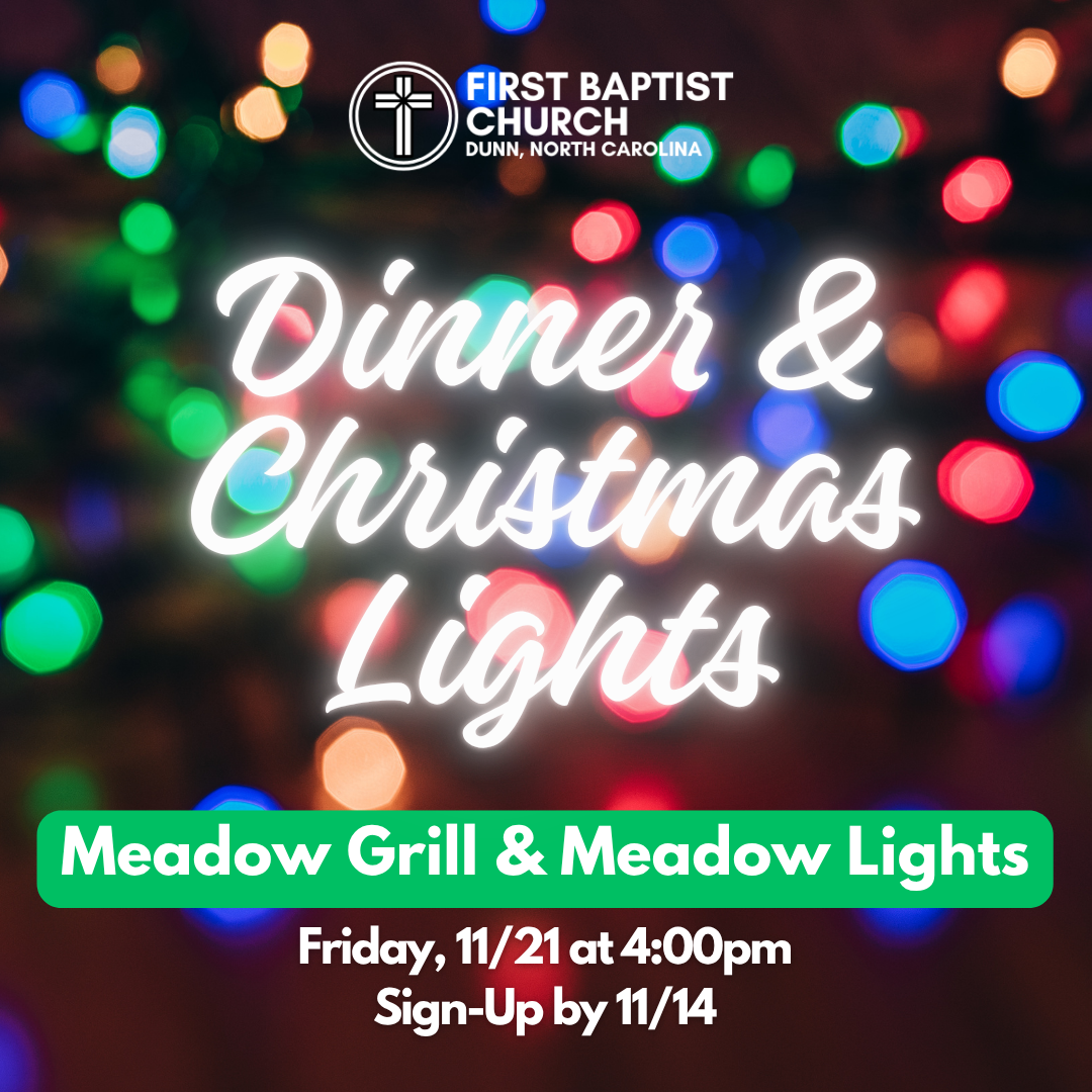 Christmas Dinner & Lights