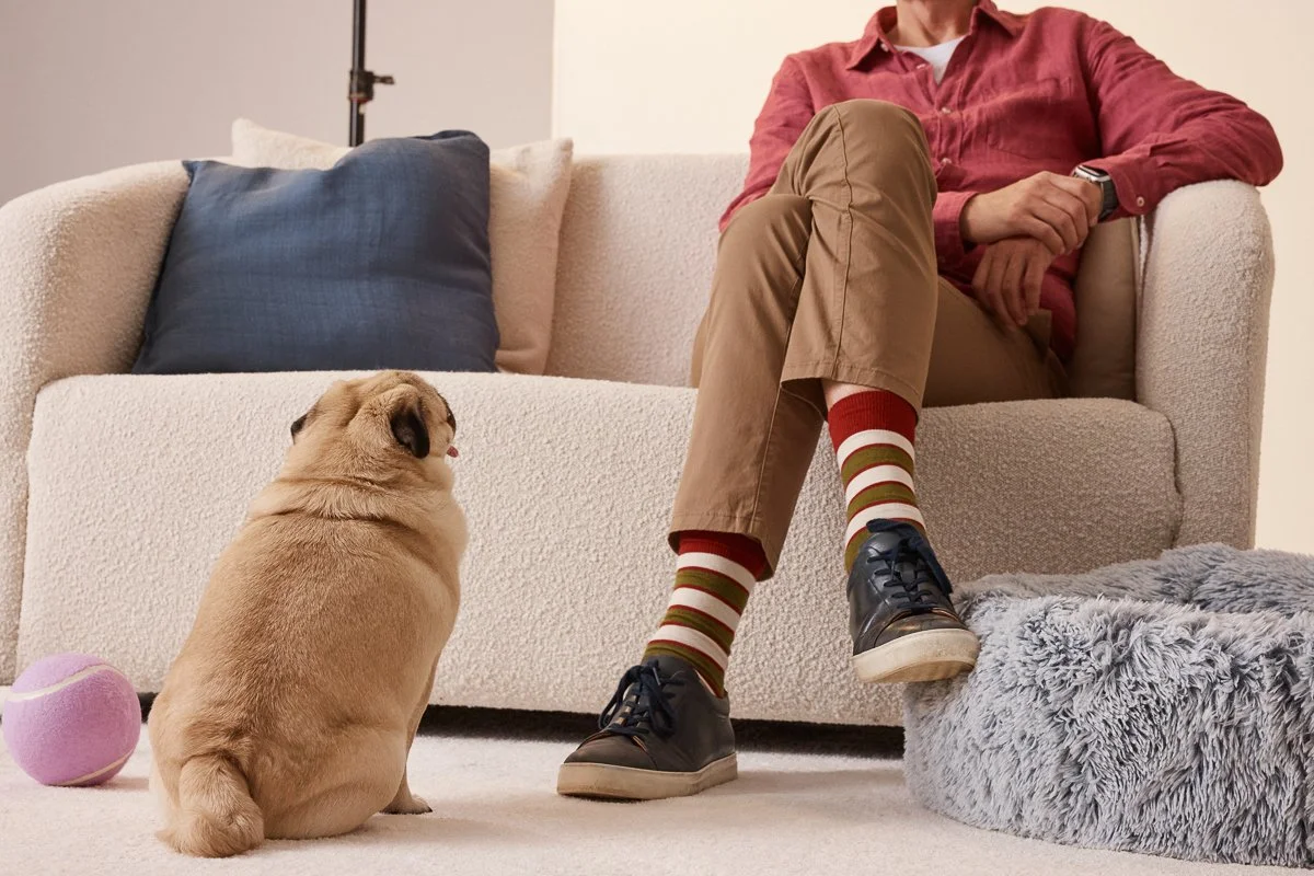 MSFT PetAI_Weld Stories-10.jpg