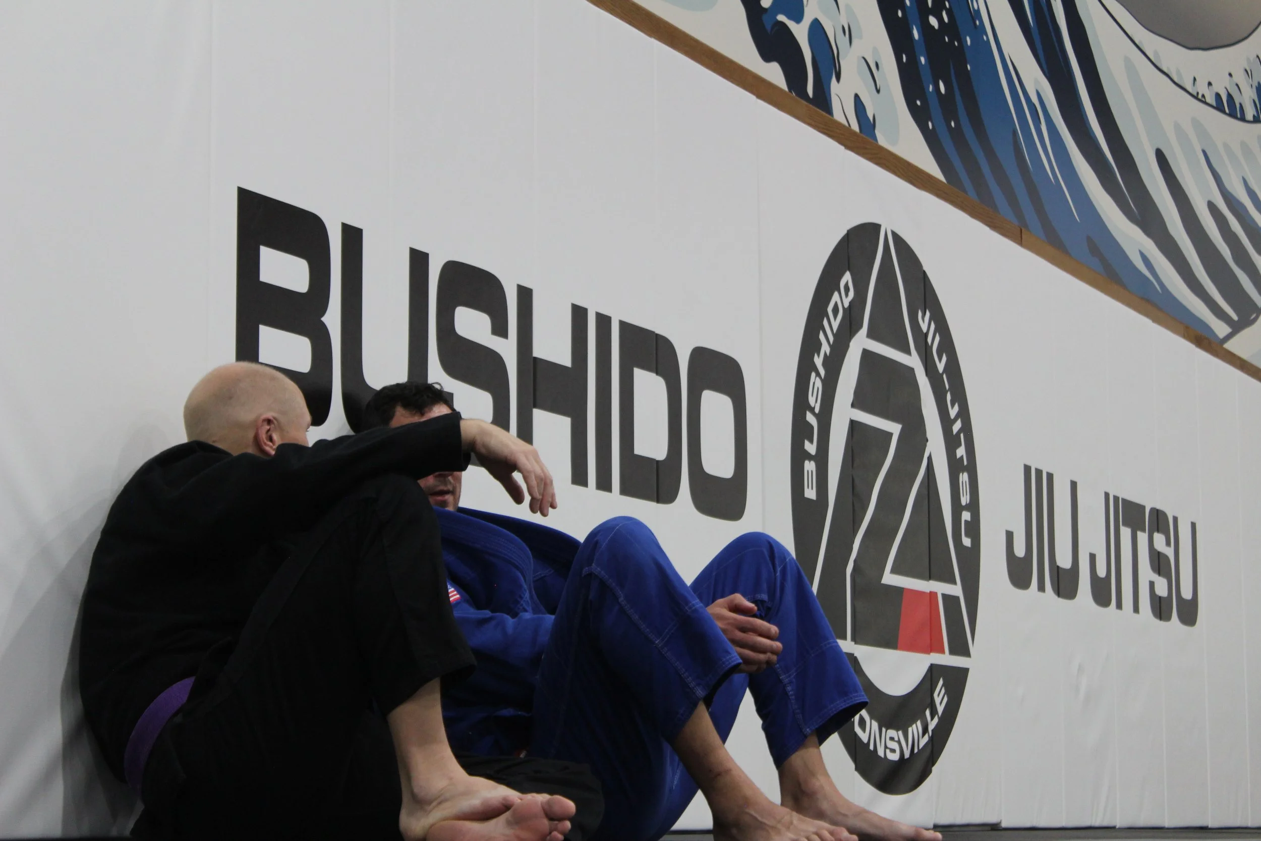 Building Community and Excellence: Bushido Jiu‑Jitsu Zionsville’s Culture