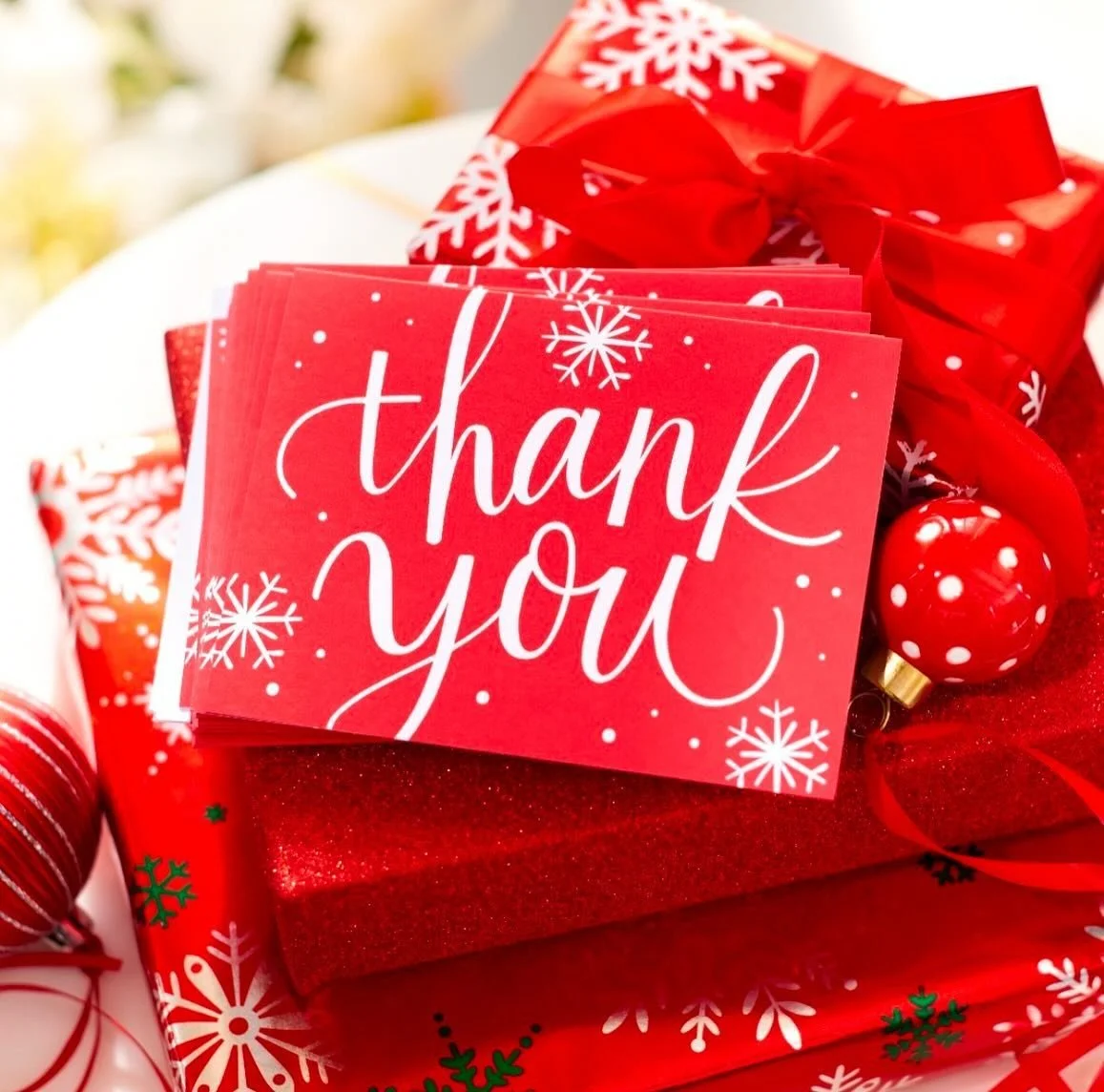 The holiday season is here, and our beautiful MVFH holiday lights are shining brightly thanks to the incredible support of our community! We want to express our deepest gratitude to the businesses, organizations, and individuals who made this magical