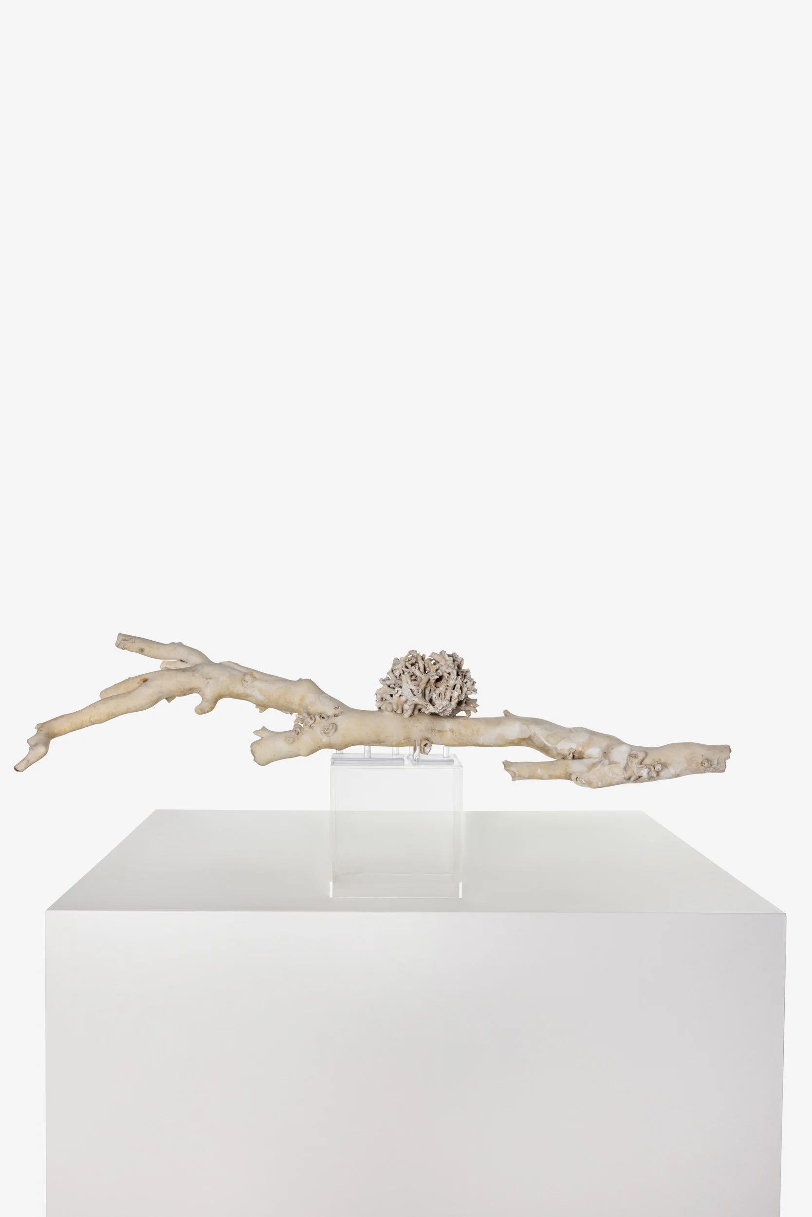 WS.CREATIVE_B.C.House_Product_Nov 25_Web_51.jpg