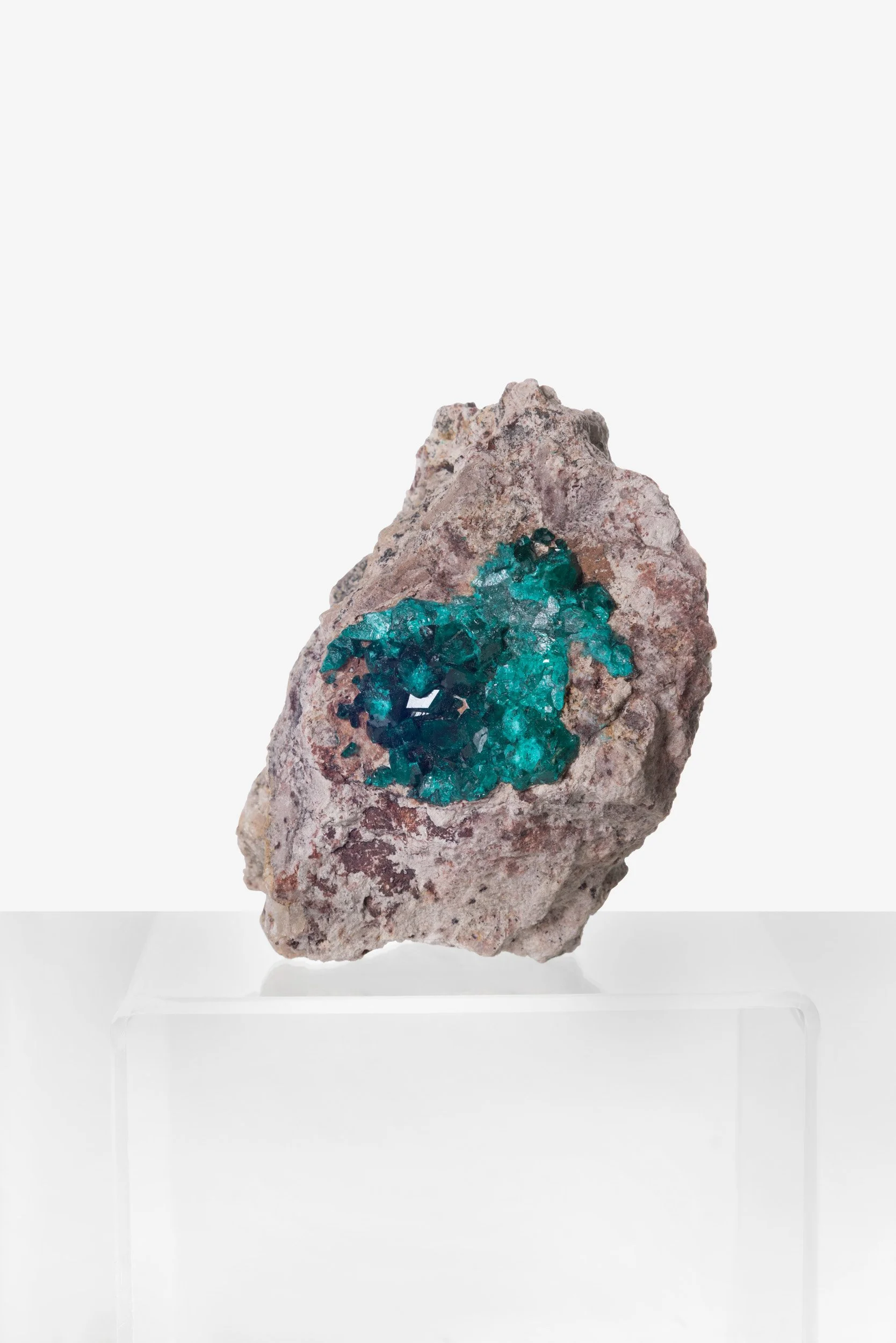 WS.CREATIVE_B.C.House_Product_Batch 2_Web_2.jpg (Copy)