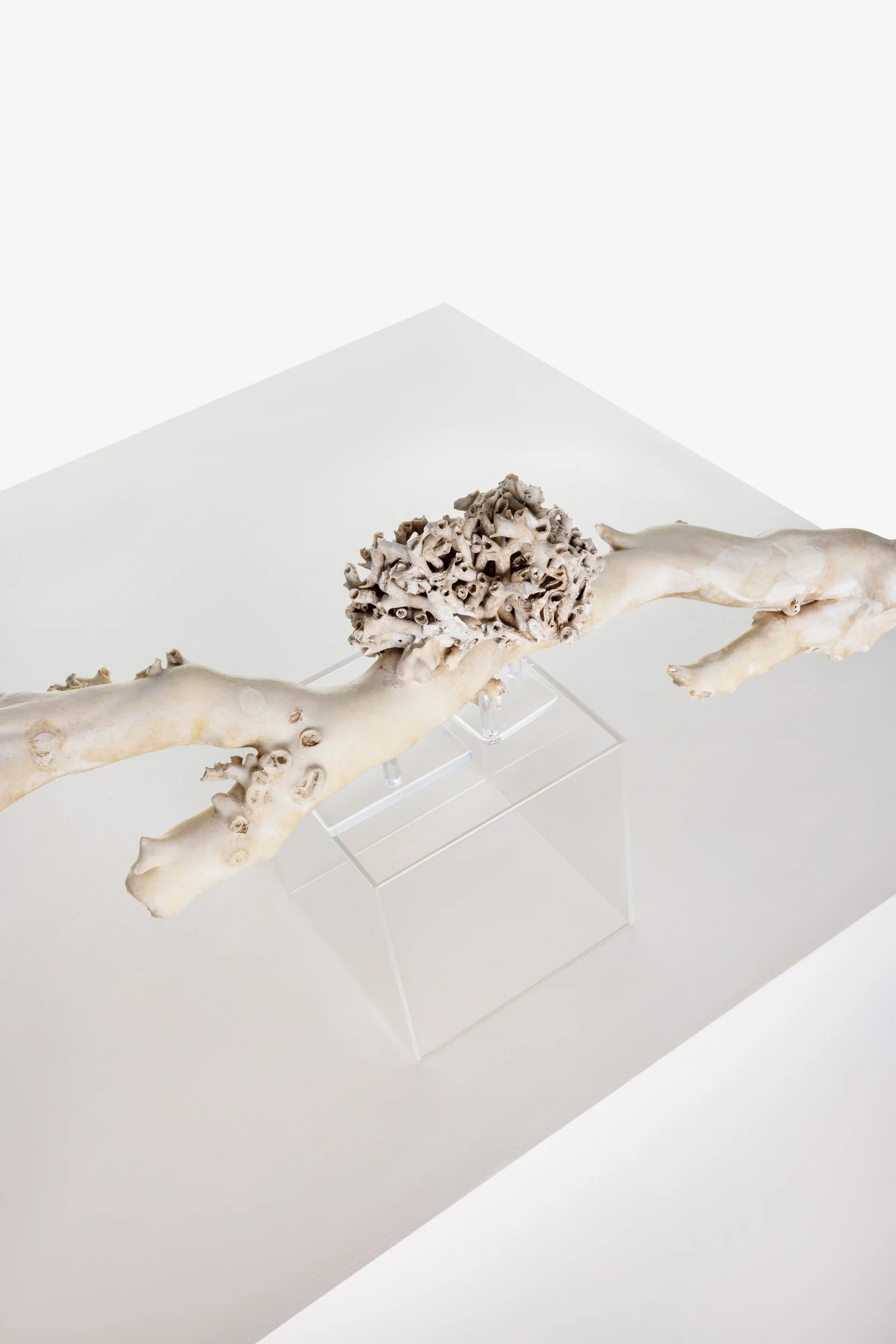 WS.CREATIVE_B.C.House_Product_Nov 25_Web_53.jpg