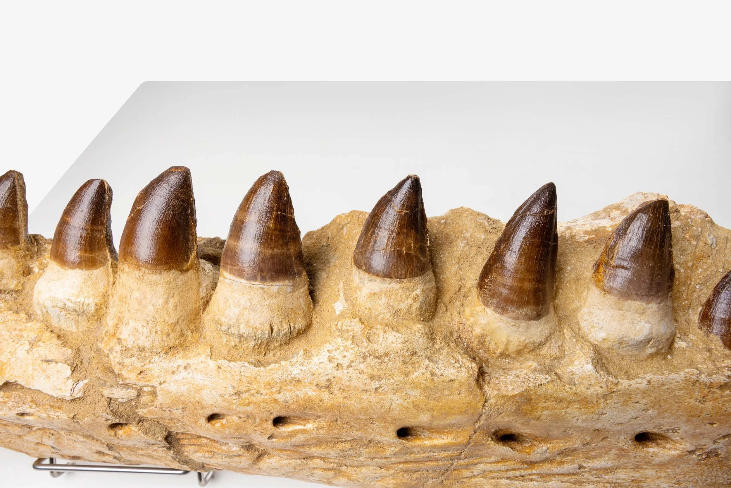 WS.CREATIVE_B.C.House_Product_Batch 2_Web_86.jpg