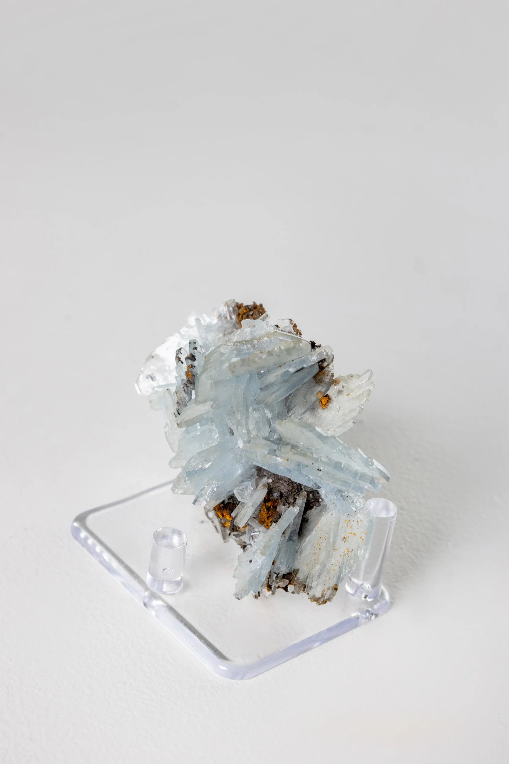 WS.CREATIVE_B.C.House_Product_Batch 2_Web_104.jpg