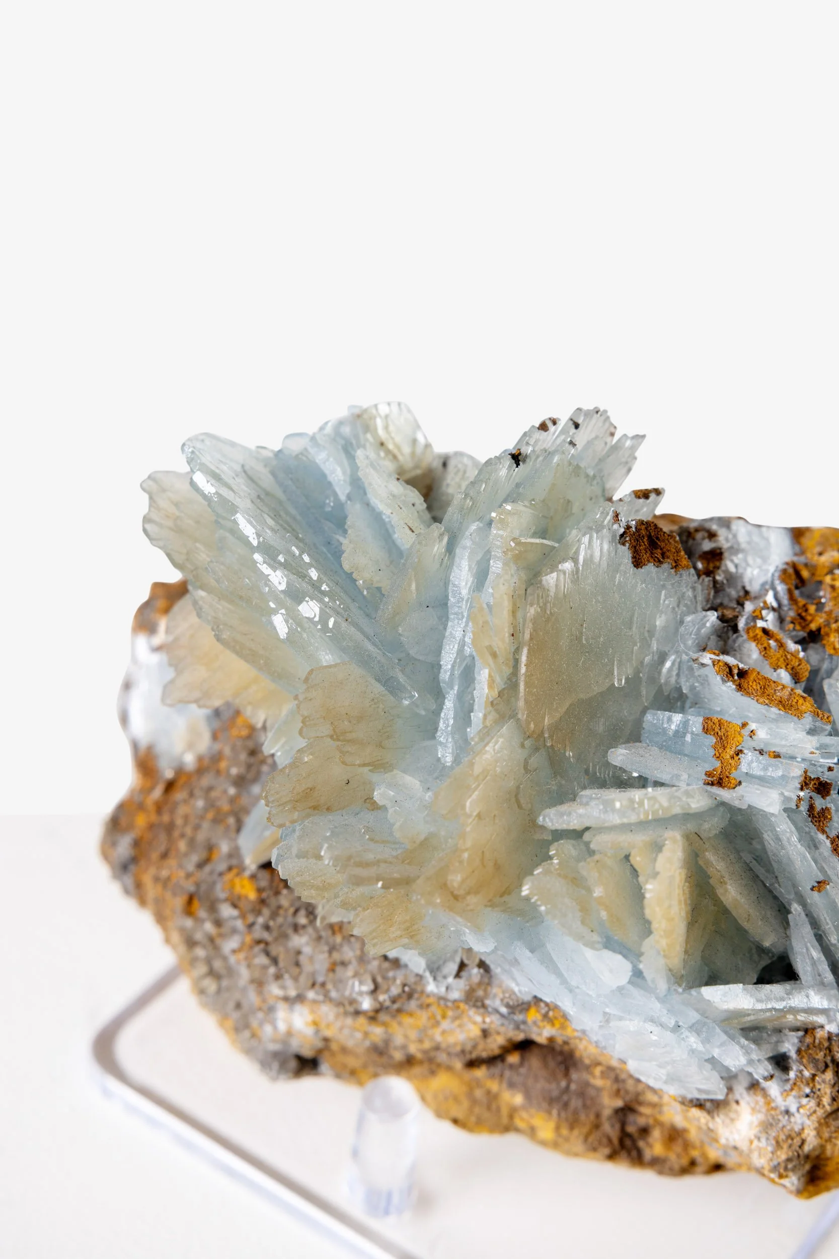 Blue Barite Flower Cluster