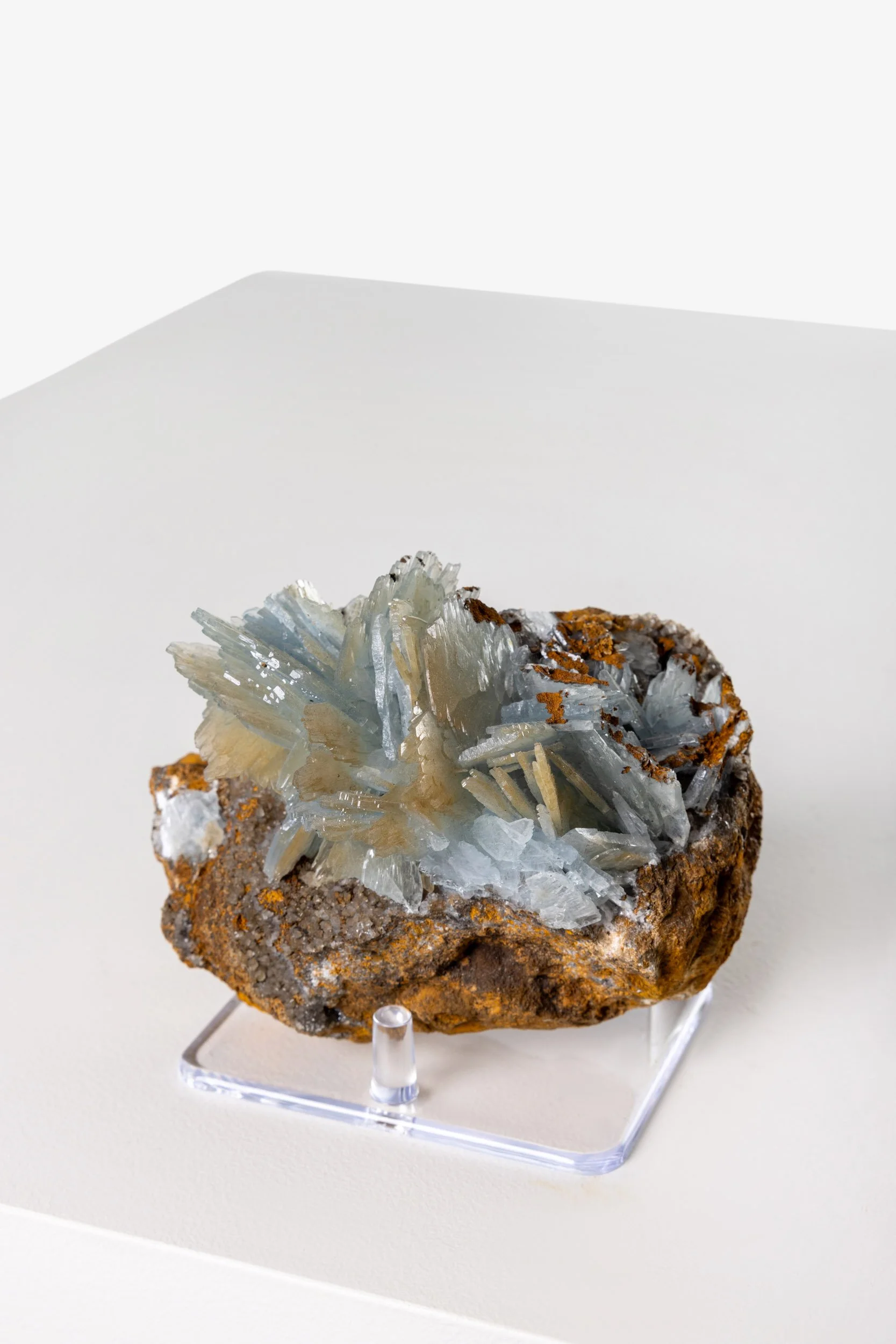 WS.CREATIVE_B.C.House_Product_Batch 2_Web_105.jpg