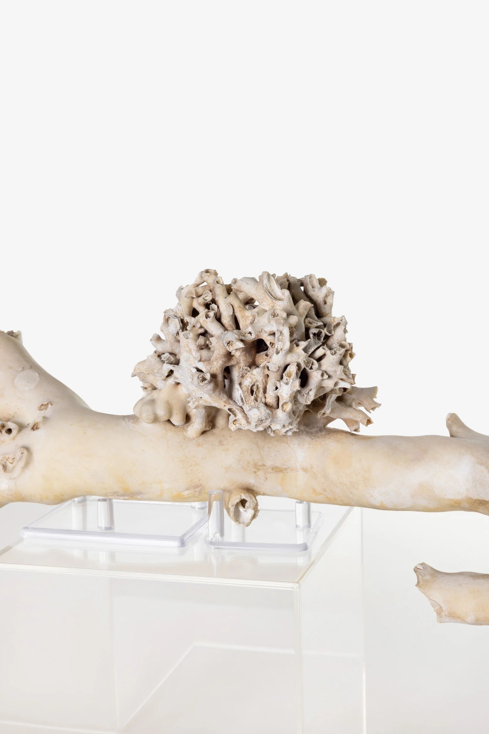 WS.CREATIVE_B.C.House_Product_Nov 25_Web_52.jpg