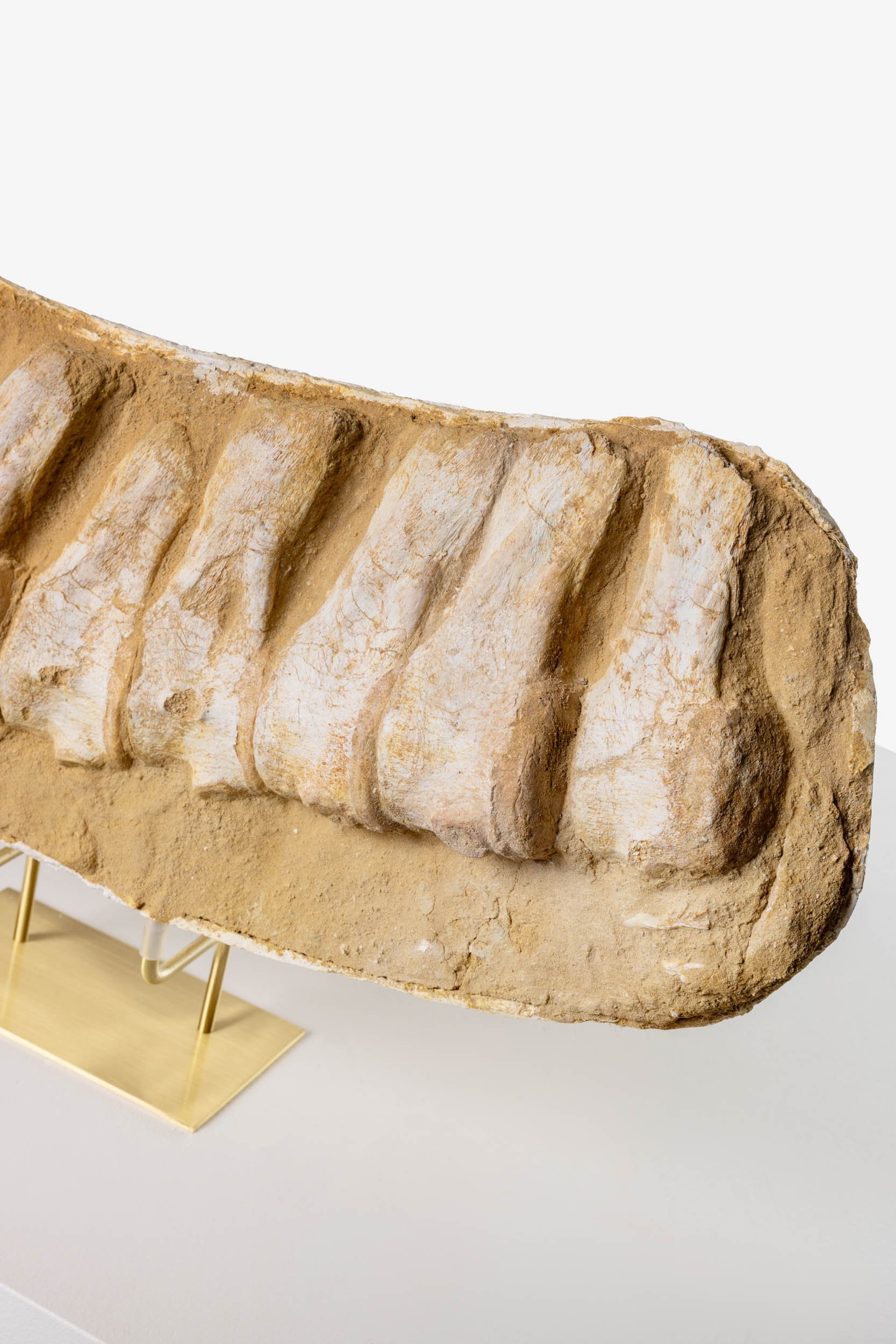 WS.CREATIVE_B.C.House_Product_Batch 2_Web_96.jpg