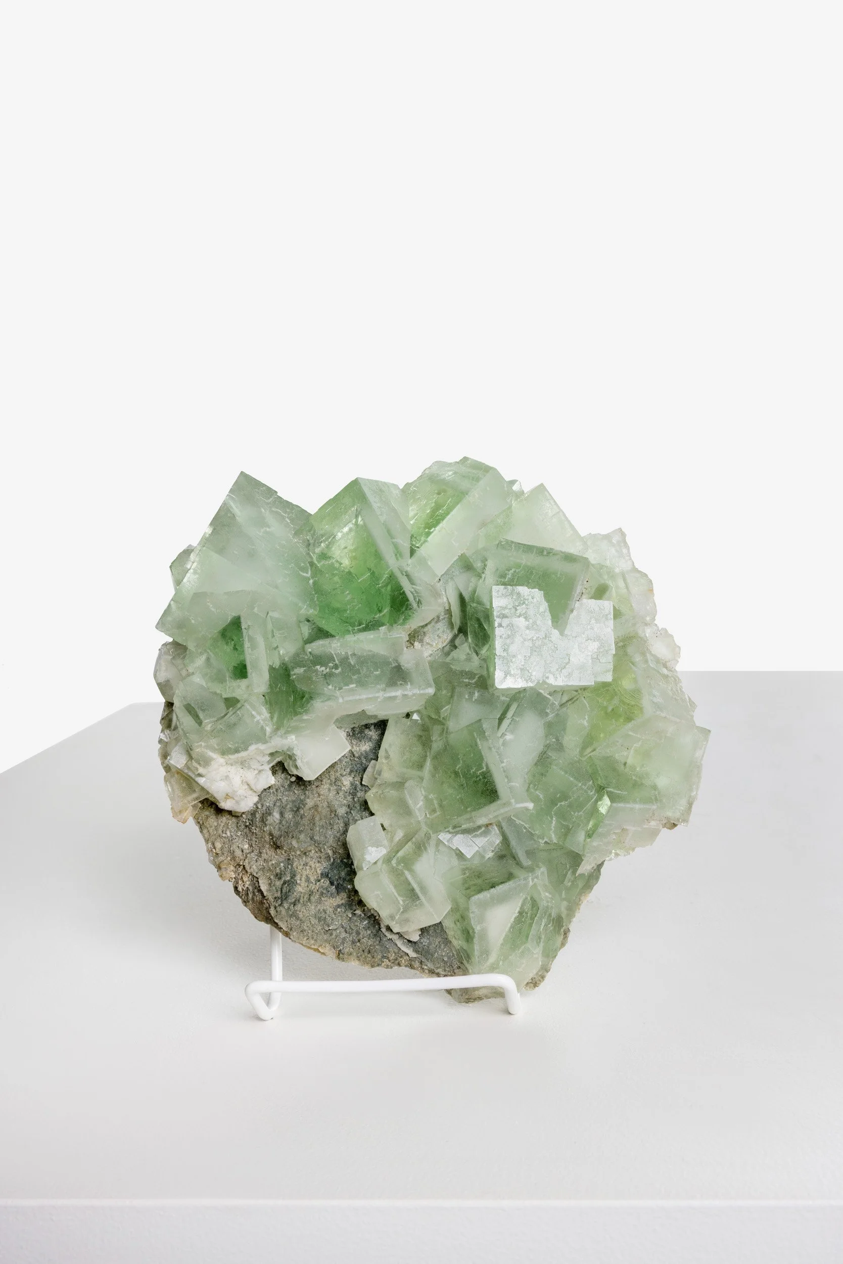 WS.CREATIVE_B.C.House_Product_Batch 2_Web_65.jpg