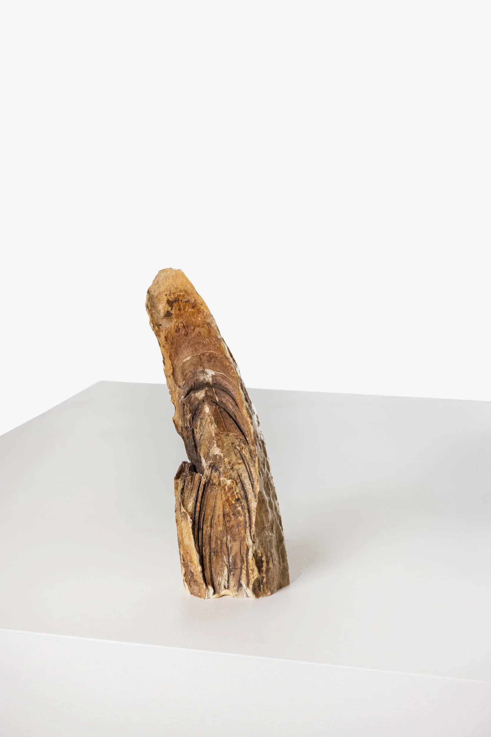 WS.CREATIVE_B.C.House_Product_Batch 2_Web_12.jpg