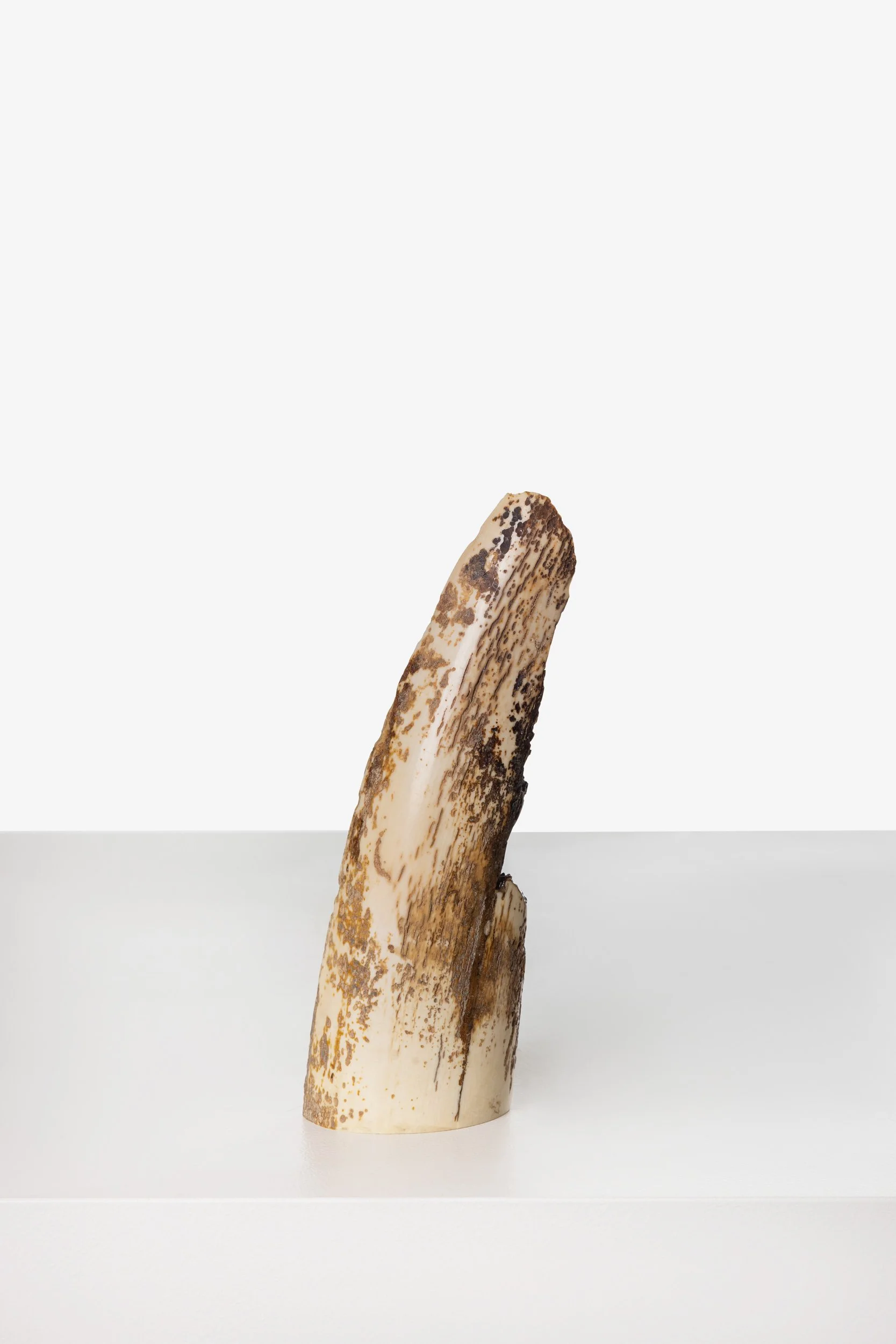 WS.CREATIVE_B.C.House_Product_Batch 2_Web_11.jpg