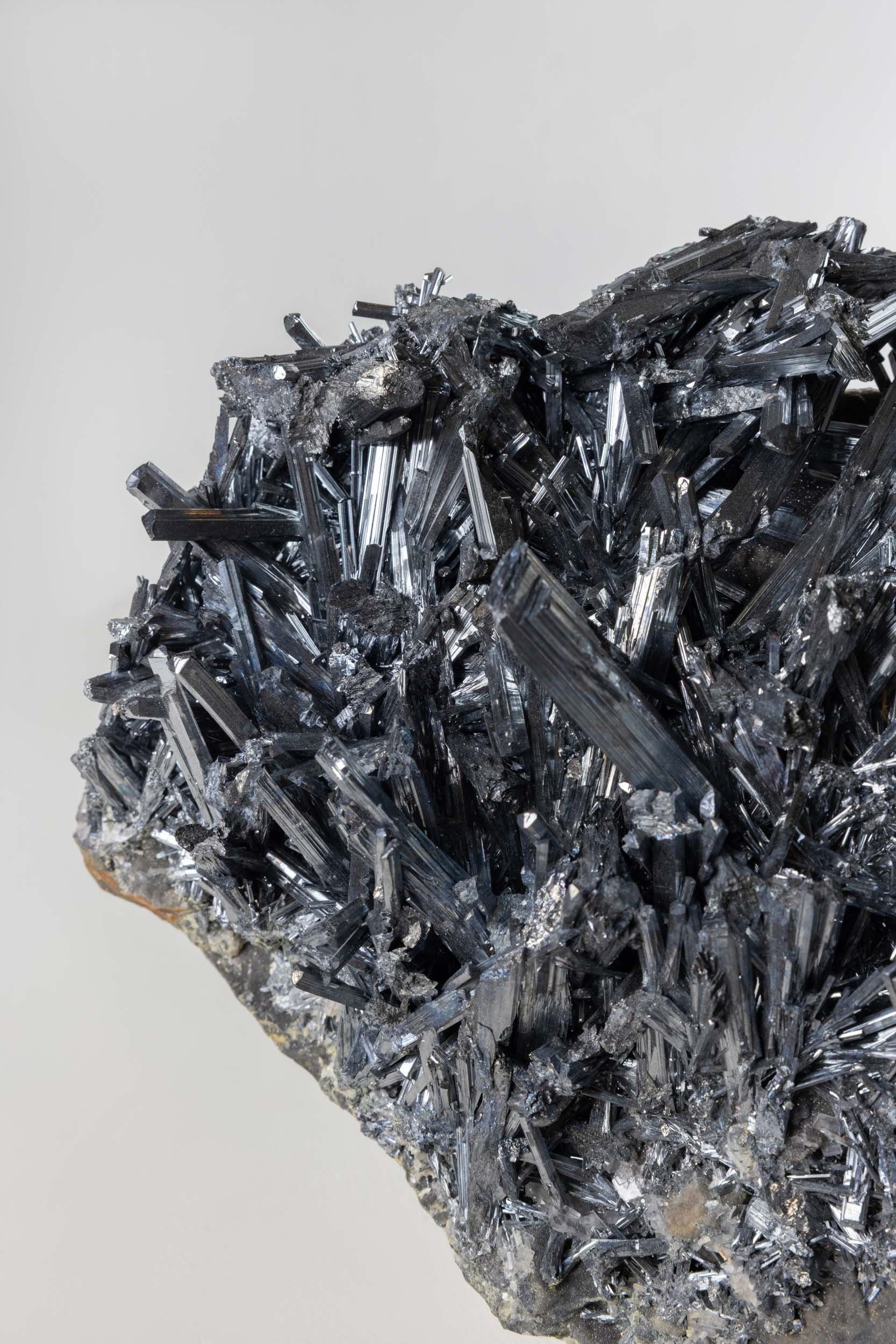 WS.CREATIVE_B.C.House_Product_Batch 2_Web_68.jpg