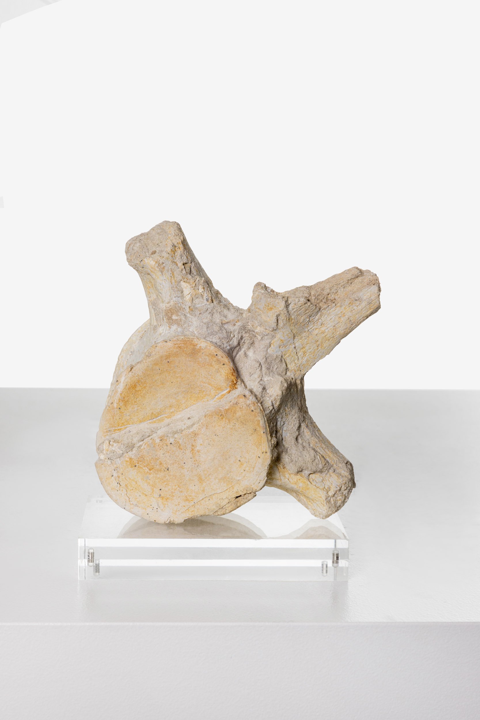 WS.CREATIVE_B.C.House_Product_Batch 2_Web_82.jpg