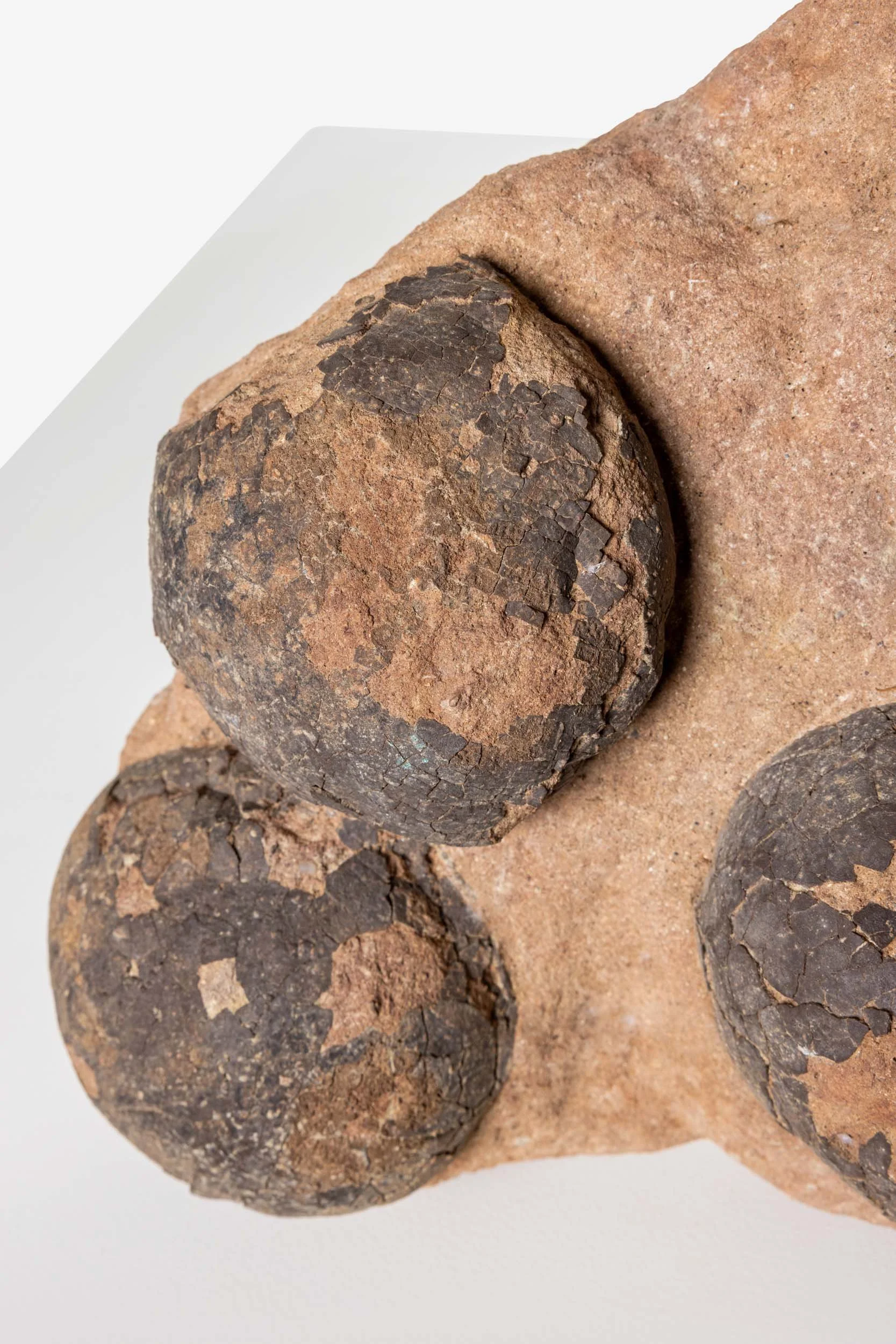 WS.CREATIVE_B.C.House_Product_Batch 2_Web_34.jpg