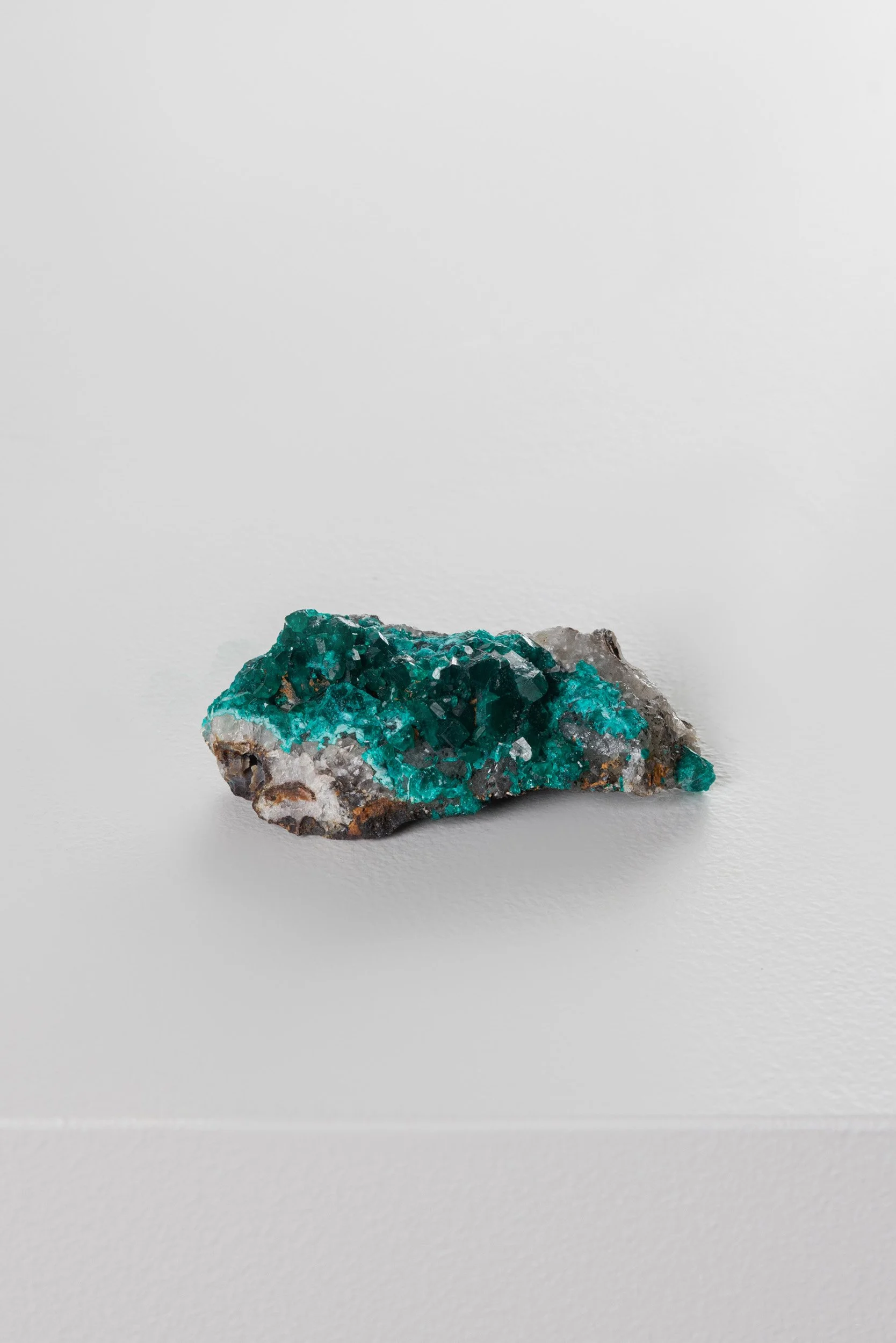 WS.CREATIVE_B.C.House_Product_Batch 2_Web_8.jpg (Copy)