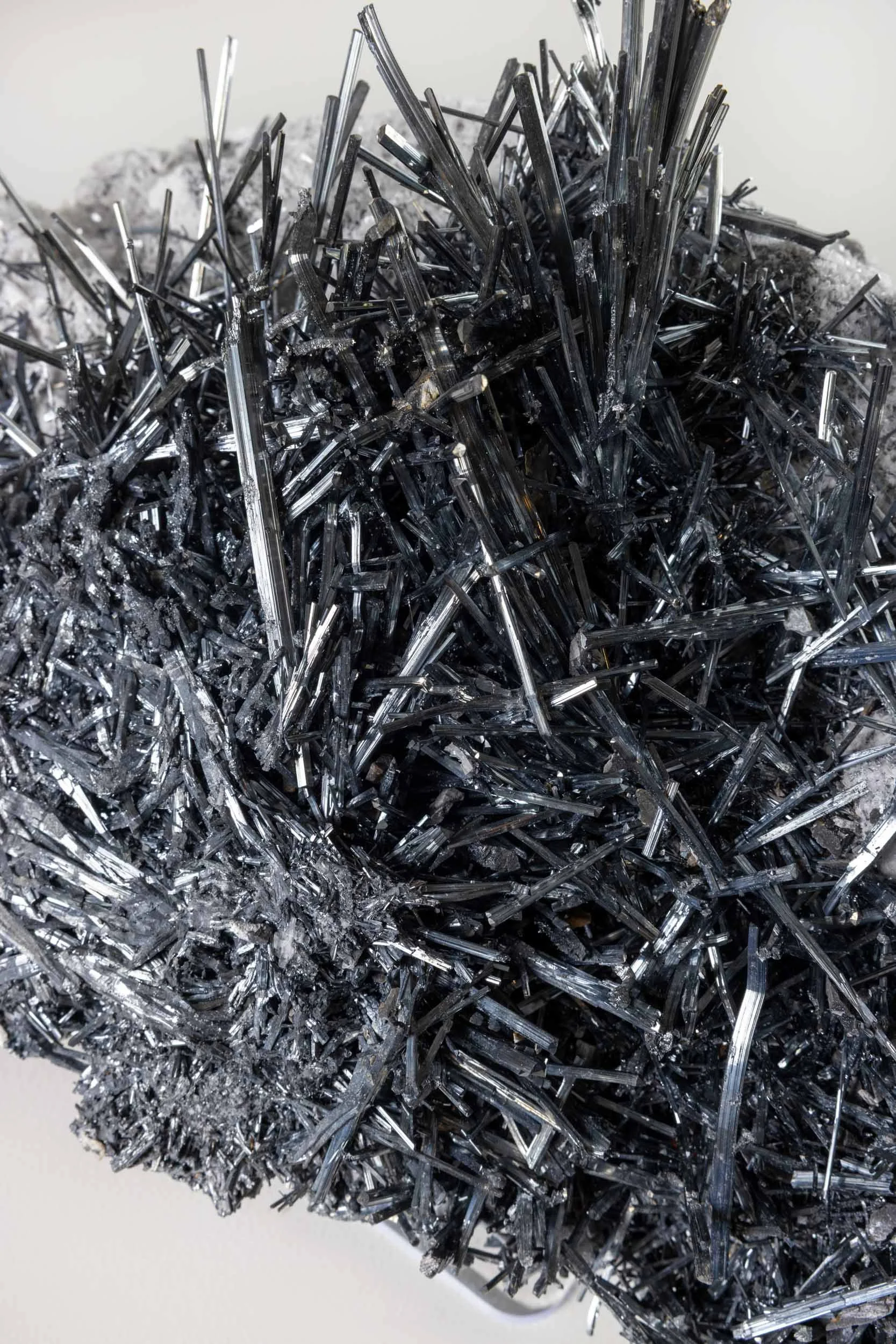 WS.CREATIVE_B.C.House_Product_Batch 2_Web_73.jpg