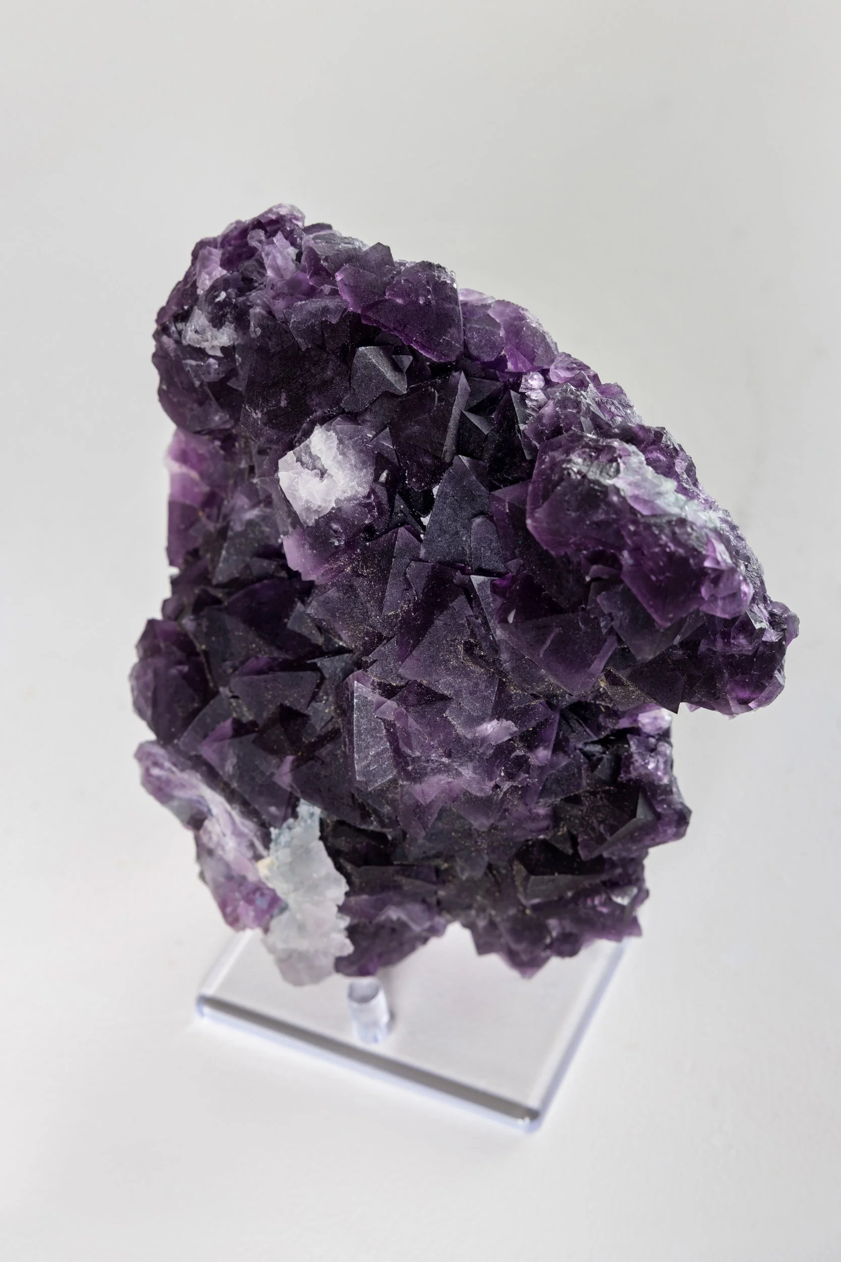 WS.CREATIVE_B.C.House_Product_Batch 2_Web_63.jpg