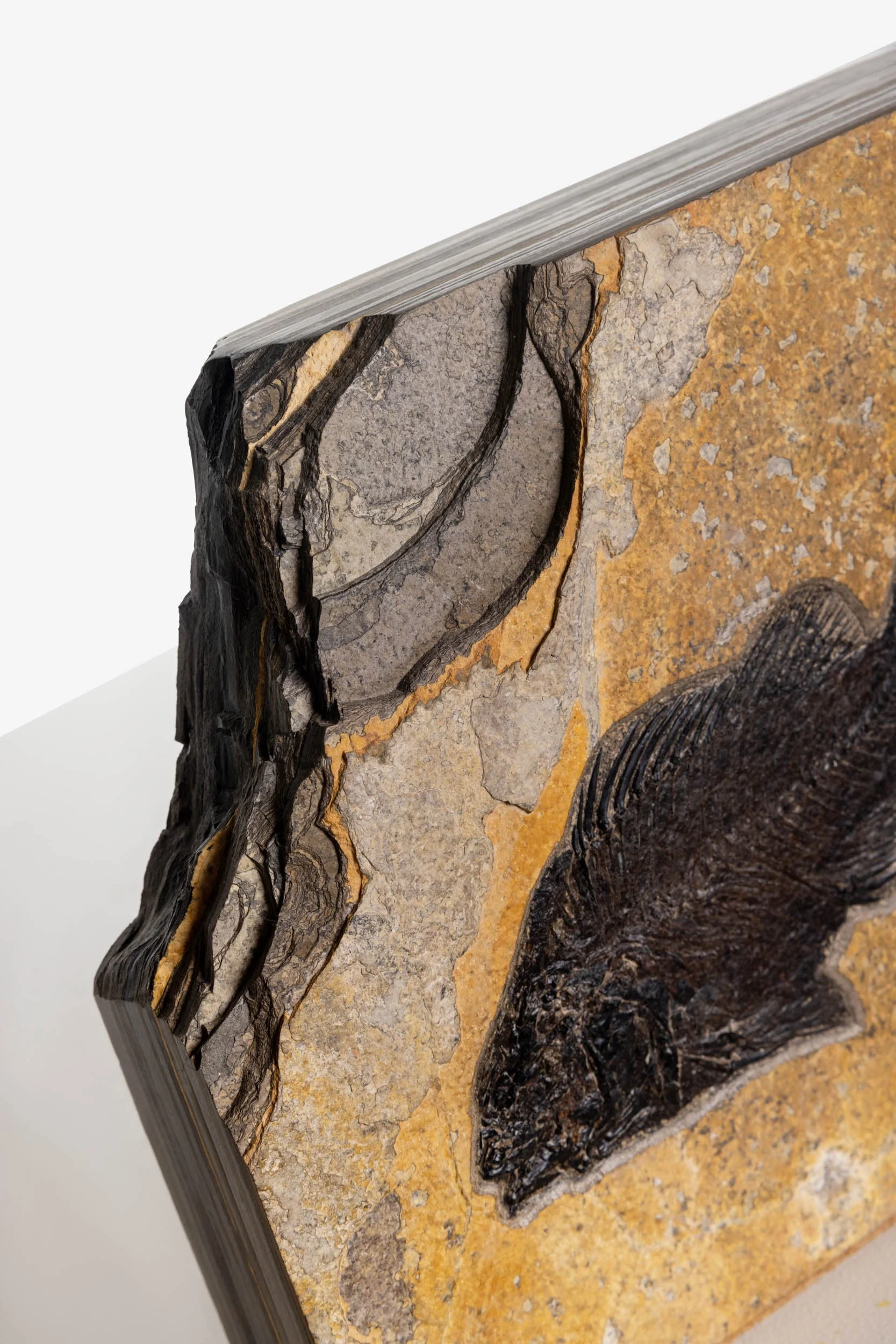 WS.CREATIVE_B.C.House_Product_Nov 25_Web_24.jpg