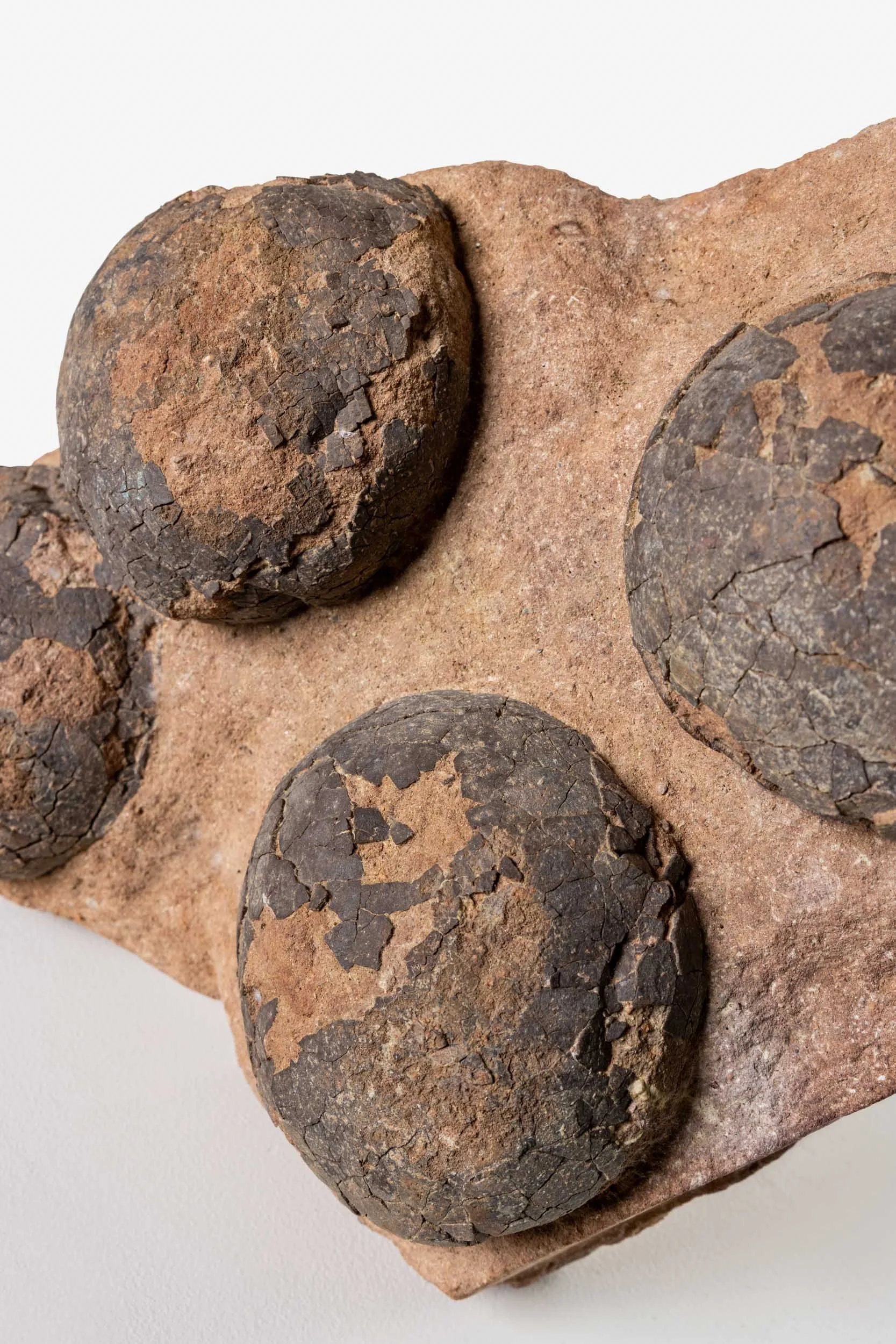 WS.CREATIVE_B.C.House_Product_Batch 2_Web_33.jpg