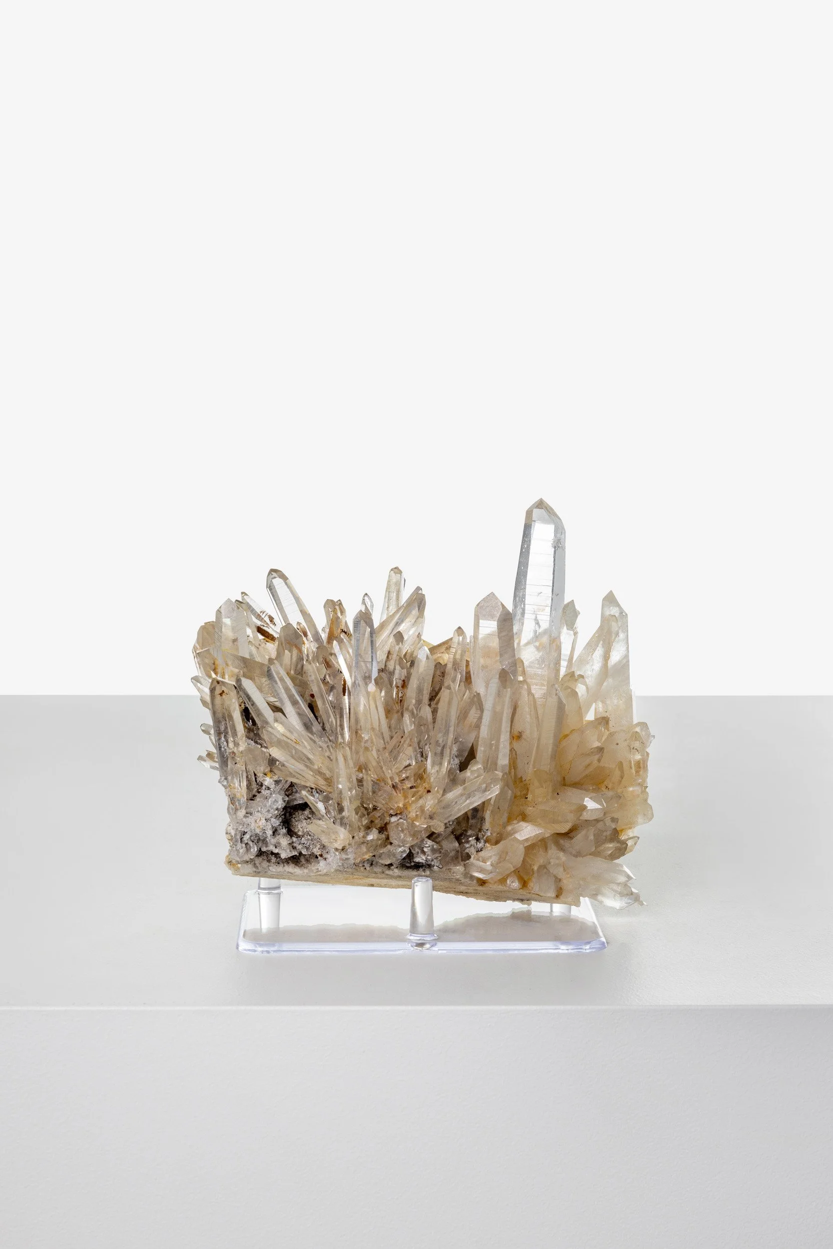 WS.CREATIVE_B.C.House_Product_Batch 2_Web_49.jpg