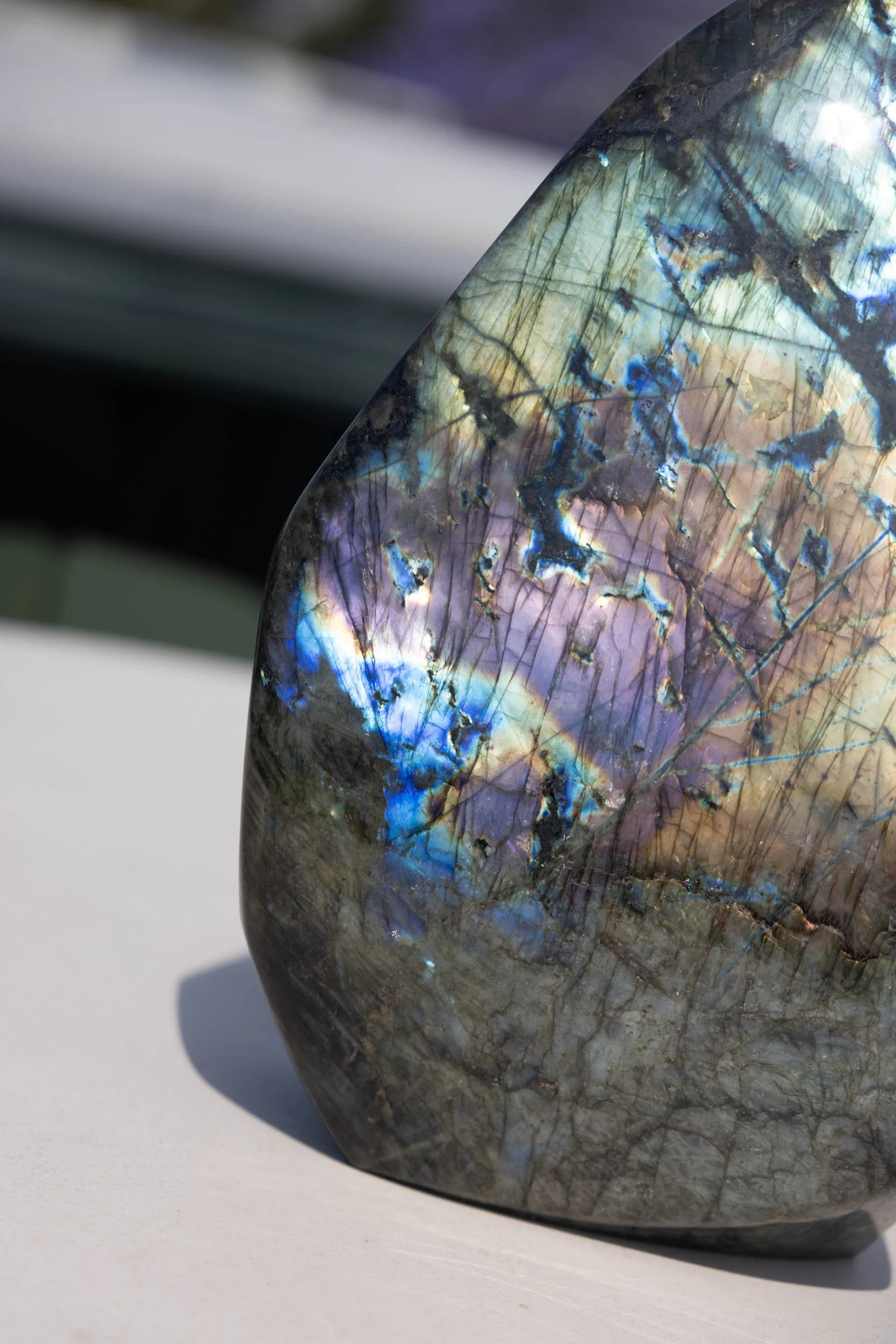 WS.CREATIVE_B.C.House_Product_Nov 25_Web_80.jpg