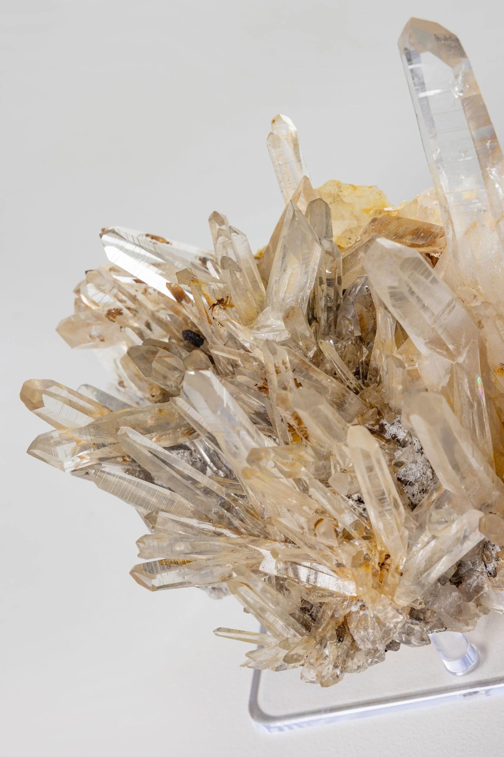 WS.CREATIVE_B.C.House_Product_Batch 2_Web_50.jpg