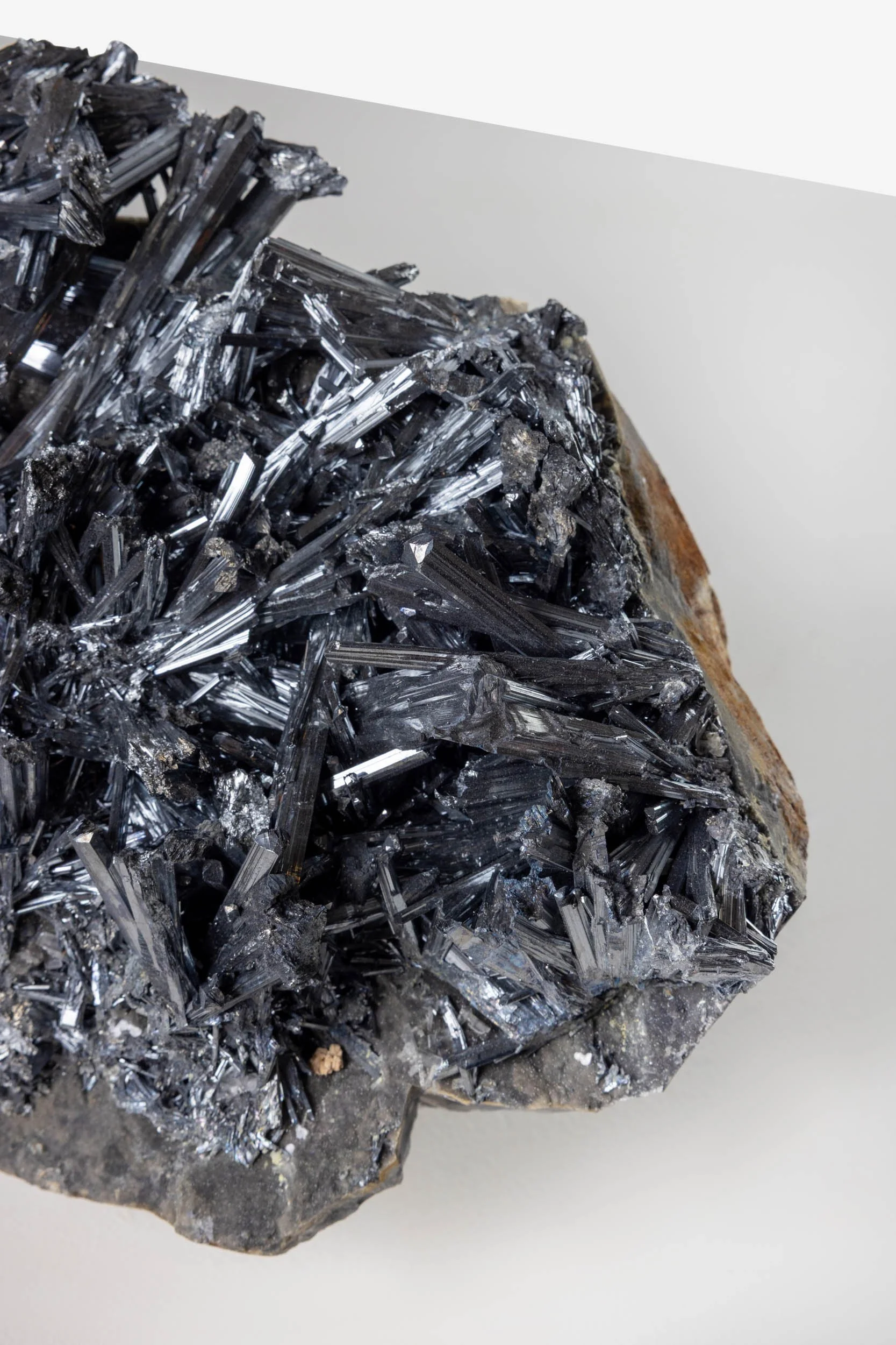 WS.CREATIVE_B.C.House_Product_Batch 2_Web_69.jpg