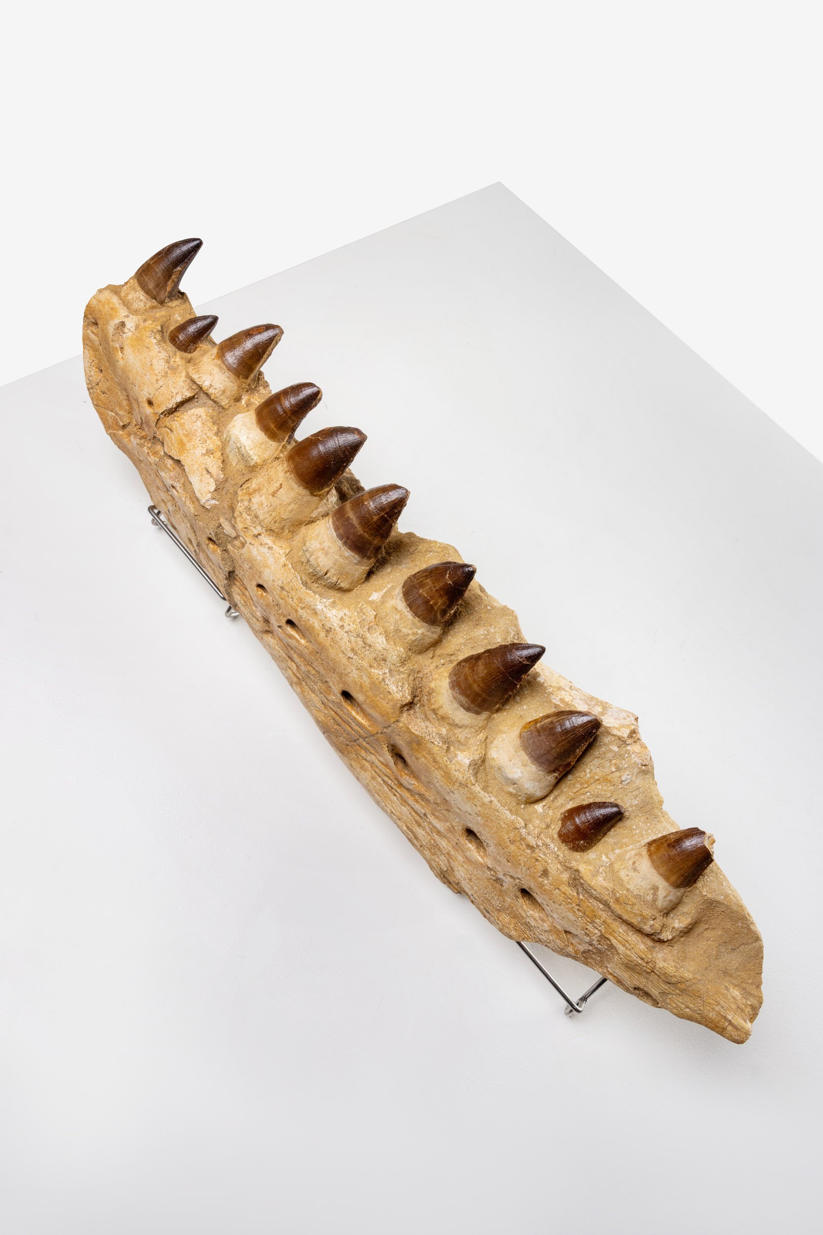 WS.CREATIVE_B.C.House_Product_Batch 2_Web_85.jpg