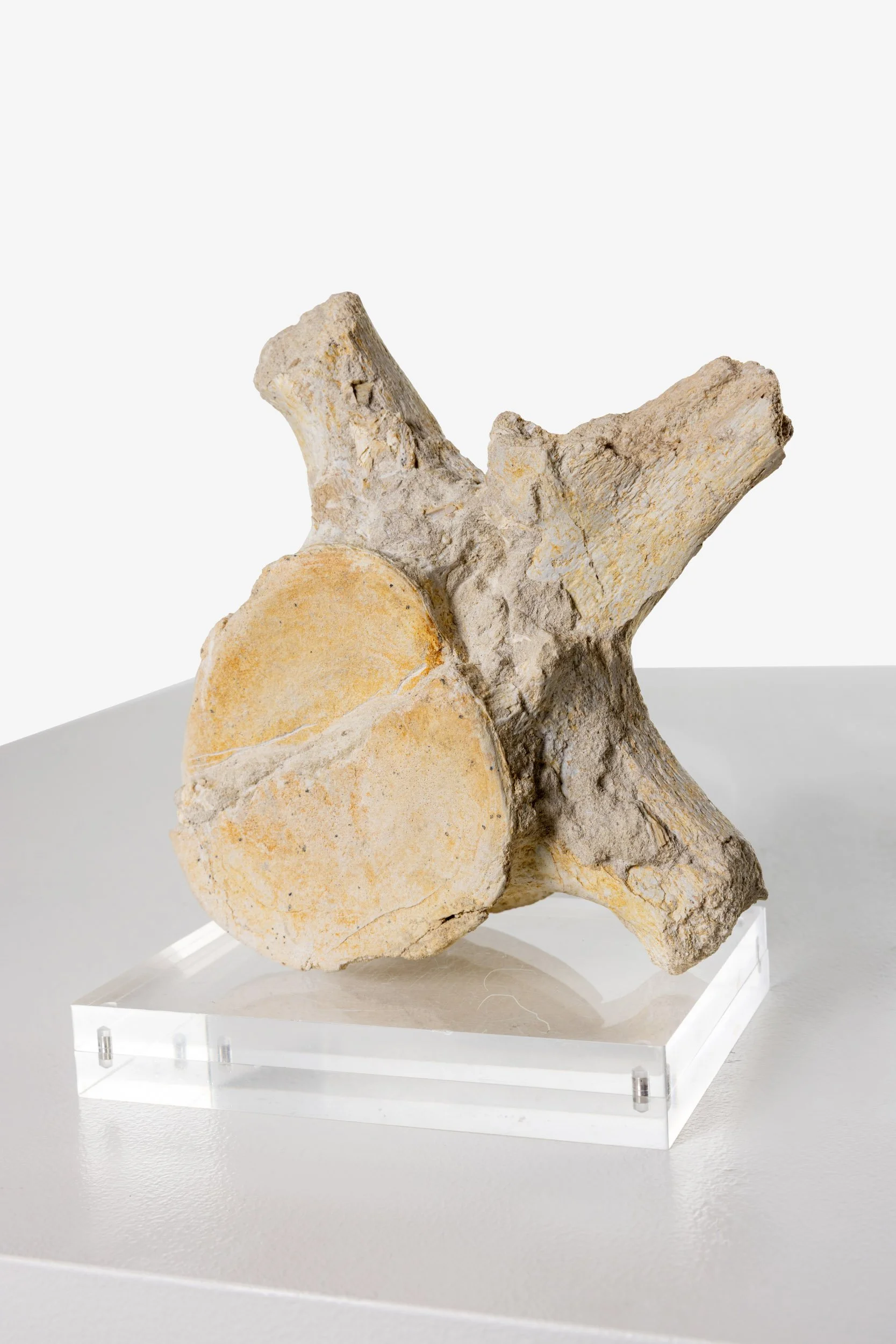 WS.CREATIVE_B.C.House_Product_Batch 2_Web_83.jpg