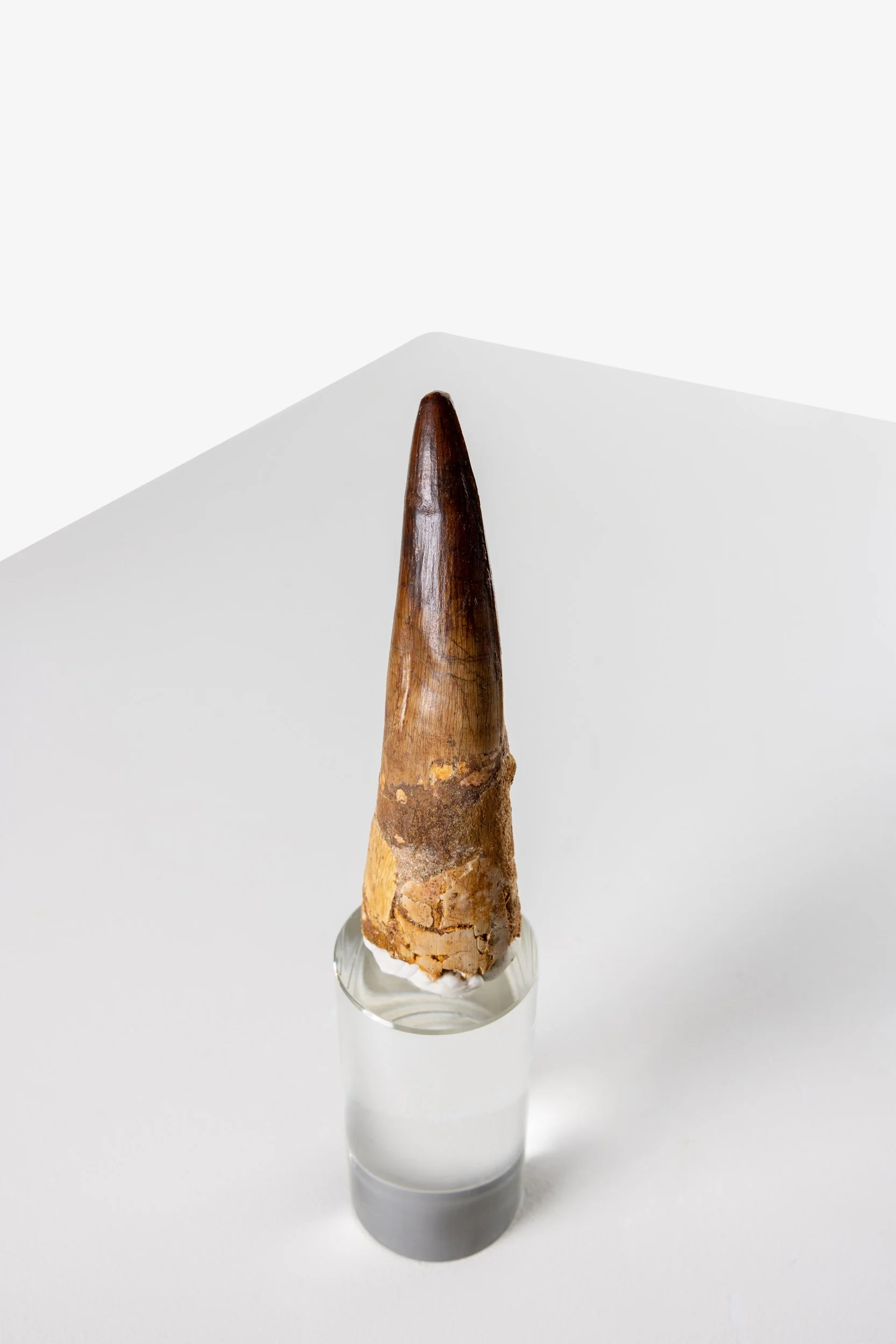 WS.CREATIVE_B.C.House_Product_Batch 2_Web_18.jpg