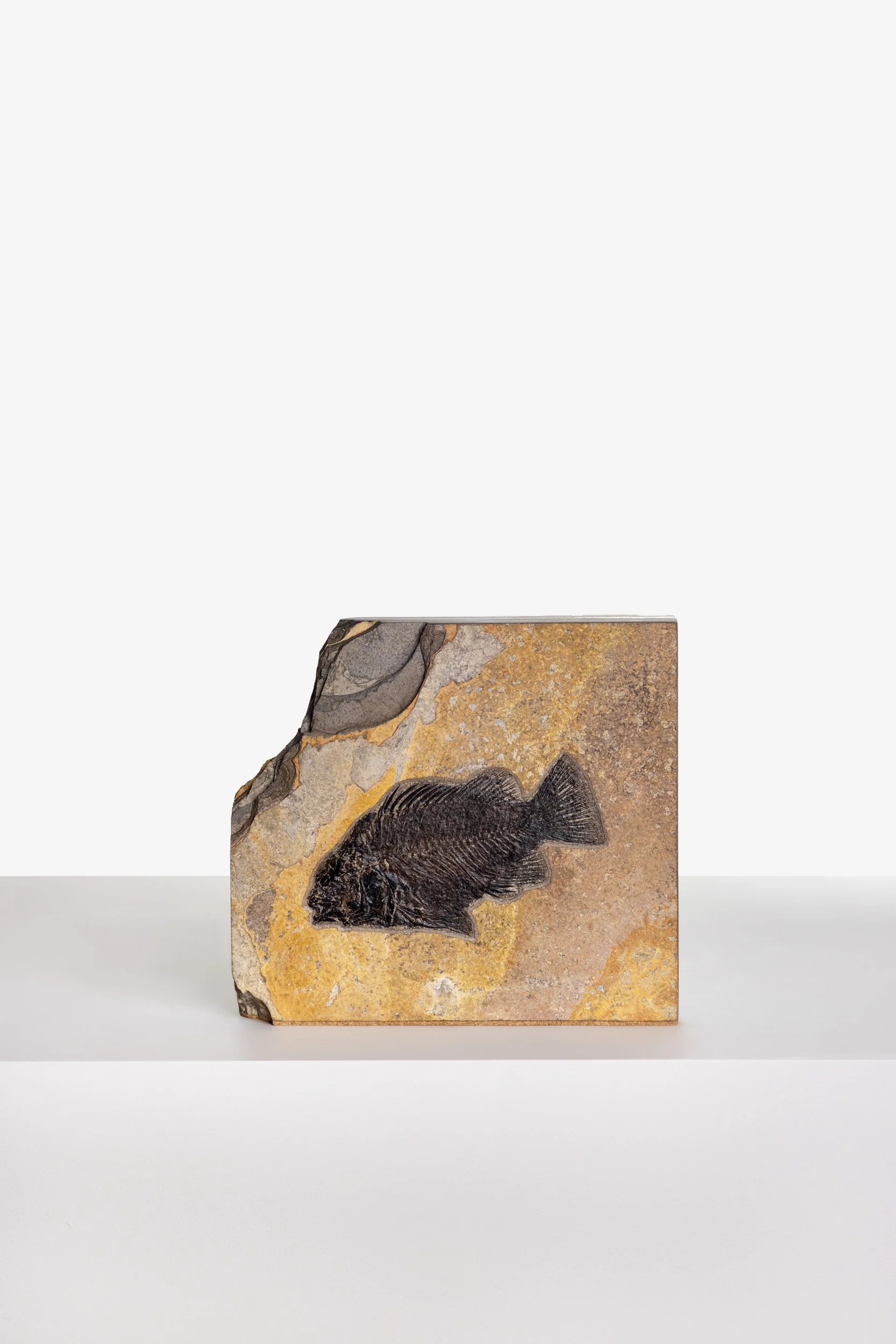 WS.CREATIVE_B.C.House_Product_Nov 25_Web_22.jpg