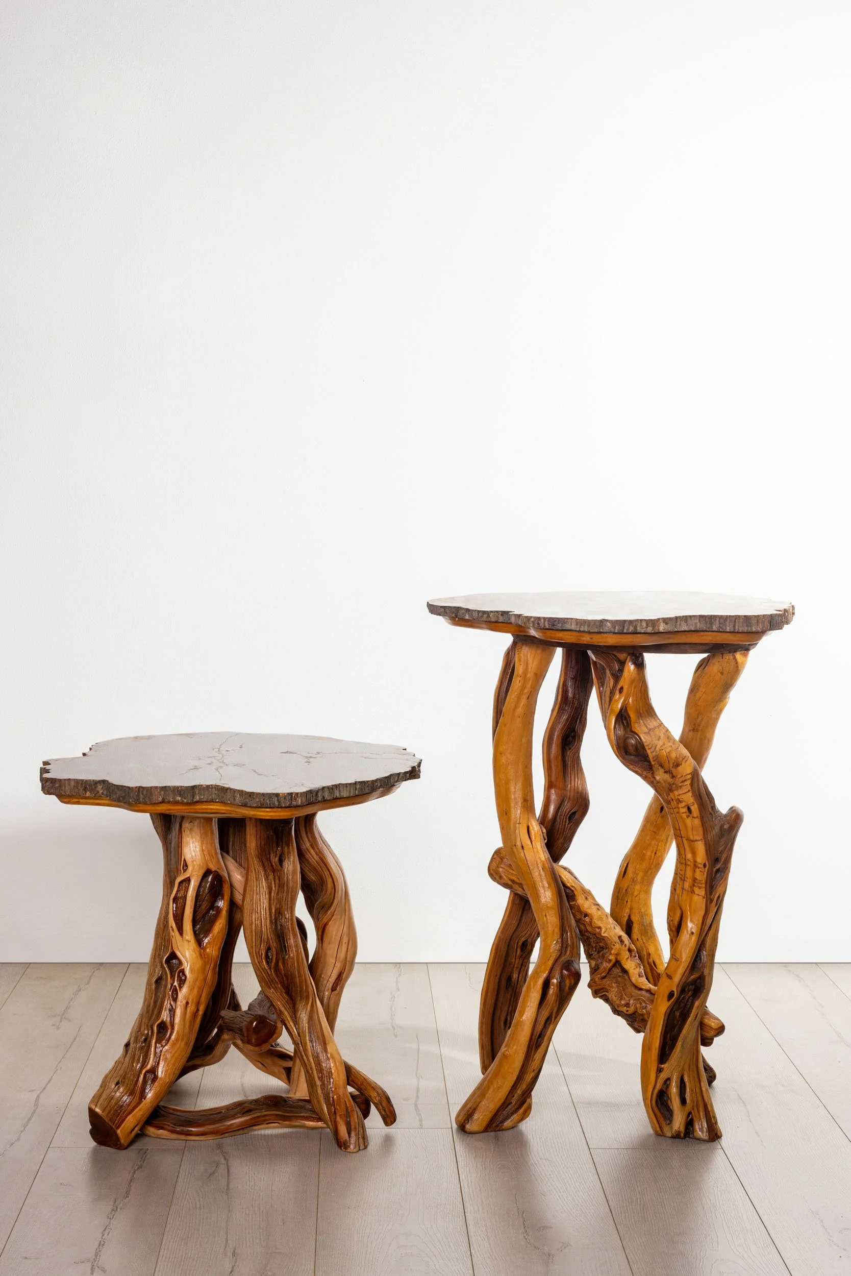 Arizona Rainbow Wood Tables - Set of 2