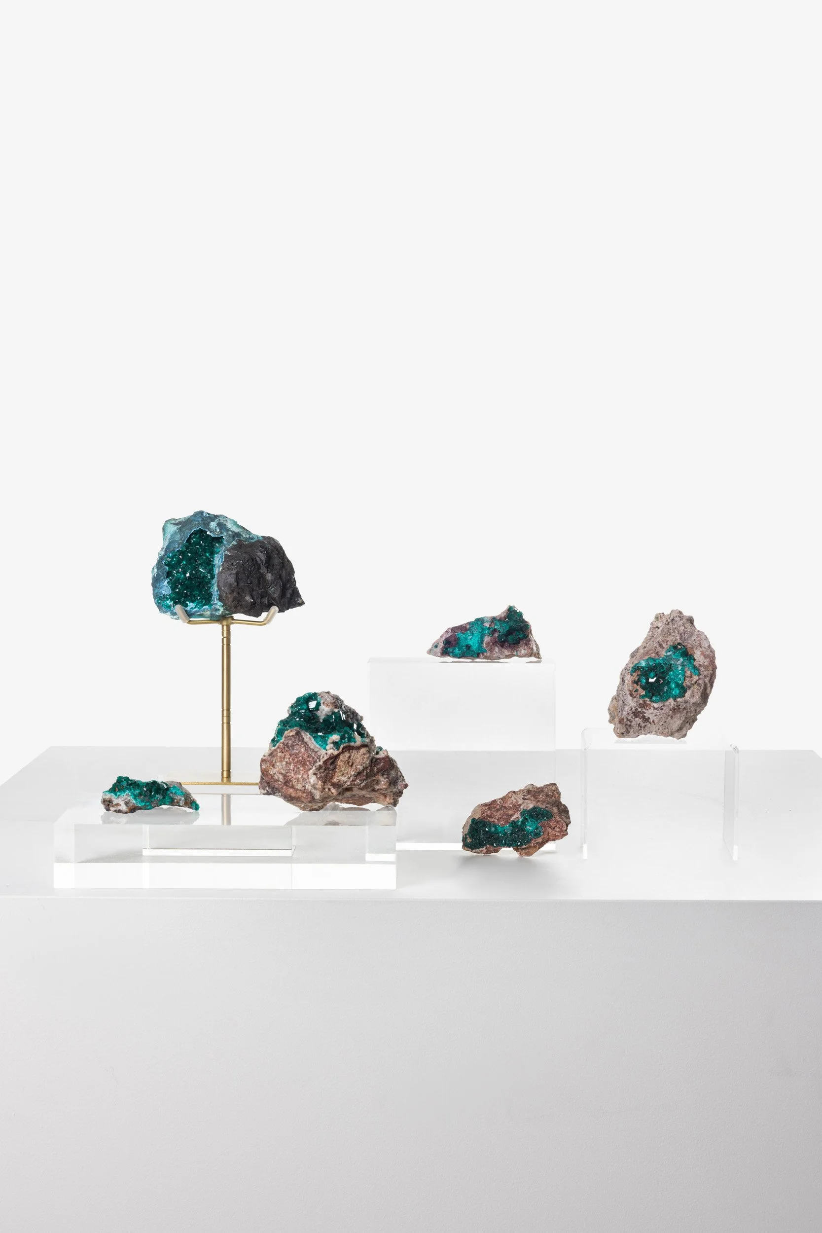 WS.CREATIVE_B.C.House_Product_Batch 2_Web_1.jpg