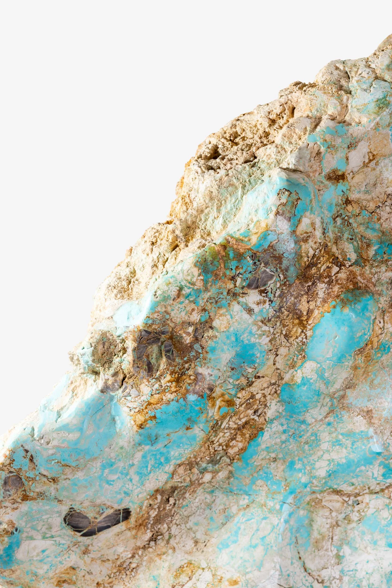 WS.CREATIVE_B.C.House_Product_Nov 25_Web_3.jpg