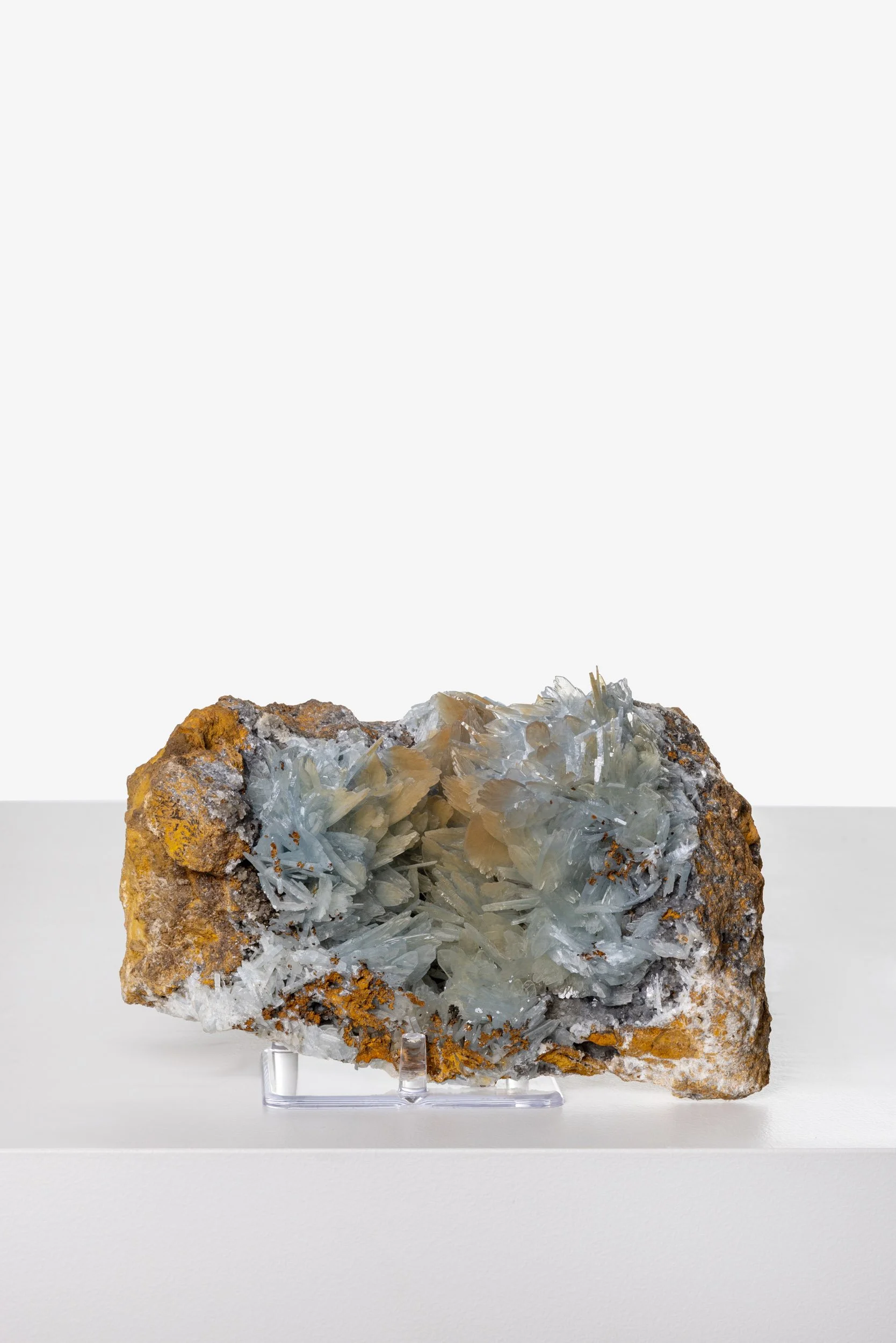 WS.CREATIVE_B.C.House_Product_Batch 2_Web_107.jpg