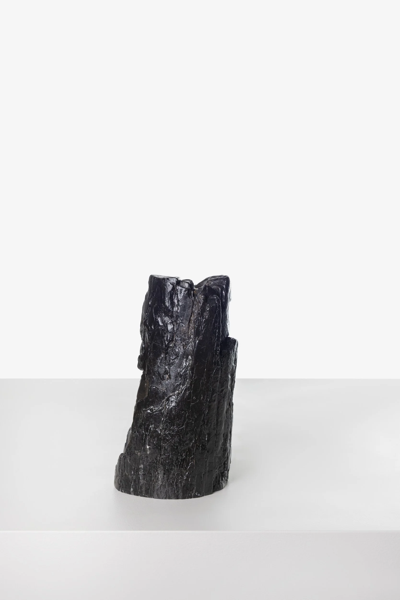 Fossilised Mammoth Tusk - Black