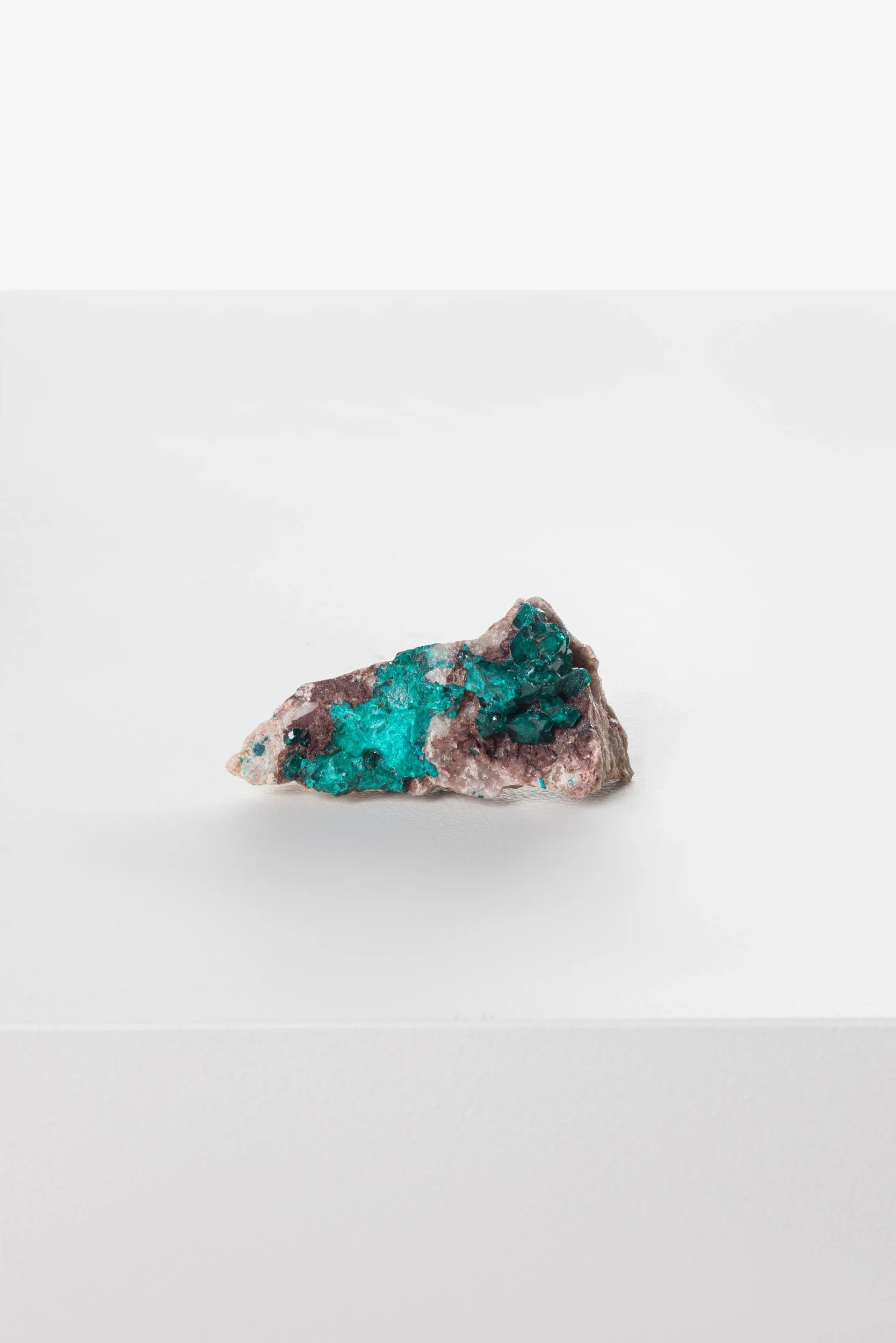 WS.CREATIVE_B.C.House_Product_Batch 2_Web_5.jpg