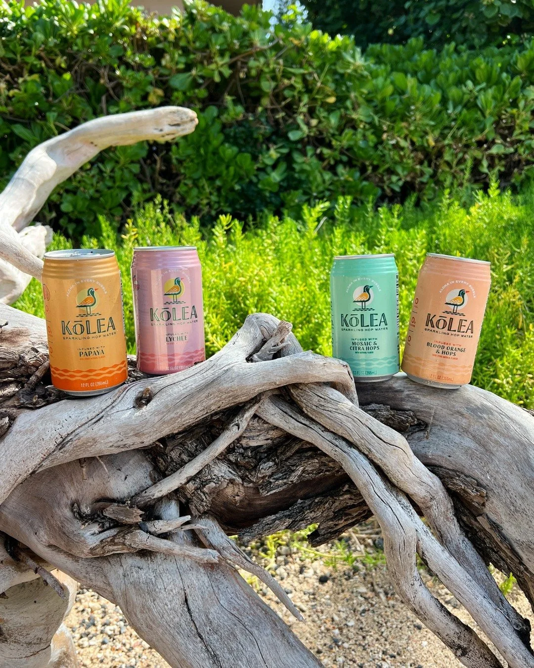 Spotted a few Kōleaʻs out in the wild 👀👀

My favorite kind of bird sighting, the sparkling ice cold kind 😌✨

#hopwater  #madeinhawaii #kolea #nonalcoholic #zerosugar