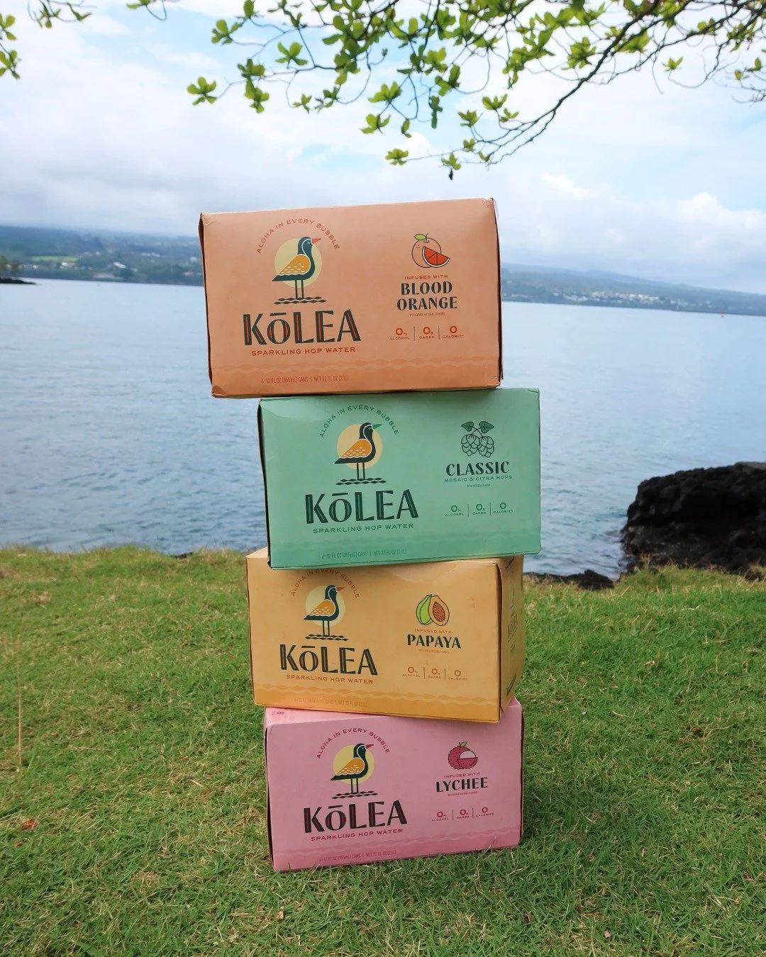 Island flavor infusions 🫧 

Free of alcohol, caffeine, gluten, sugar, and calories. It&rsquo;s the perfect thing to sip whether you&rsquo;re breaking up with booze or sugar&mdash;or taking a break in between brews.

#hopwater #madeinhawaii #kolea #n