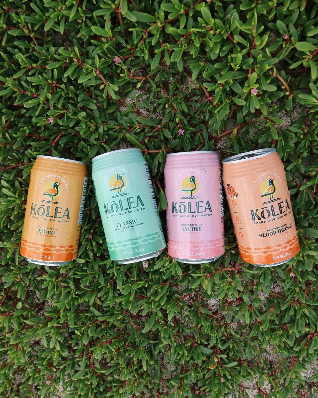 Island-inspired flavor infusions without the alcohol, caffeine, gluten, sugar, or calories. 🍊💖🫧

🔗 Shop now through the link in our bio

#hopwater #madeinhawaii #kolea #nonalcoholic #zerosugar